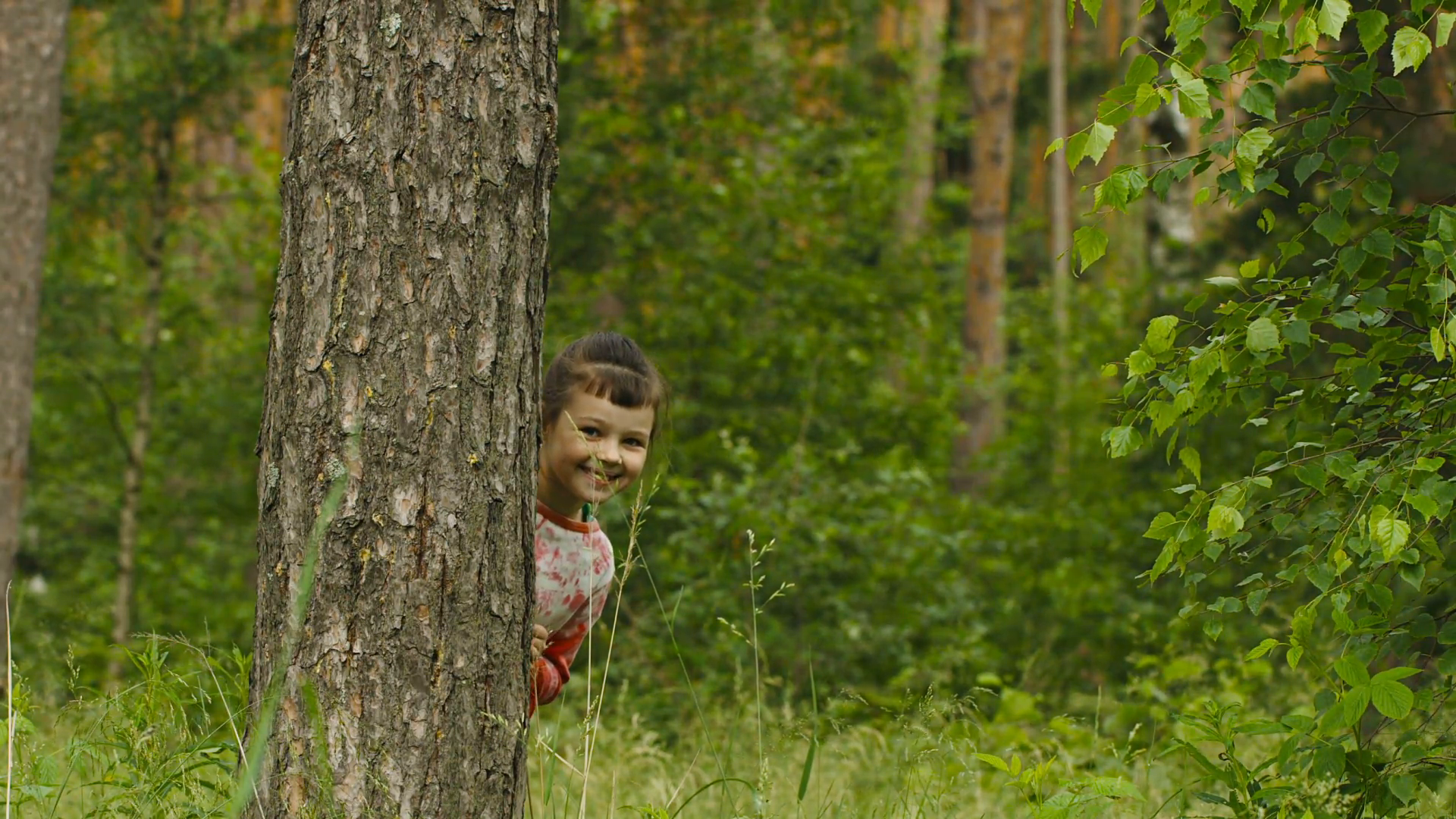 Cheerful little girl hiding behind a tree in the forest Stock Video. 