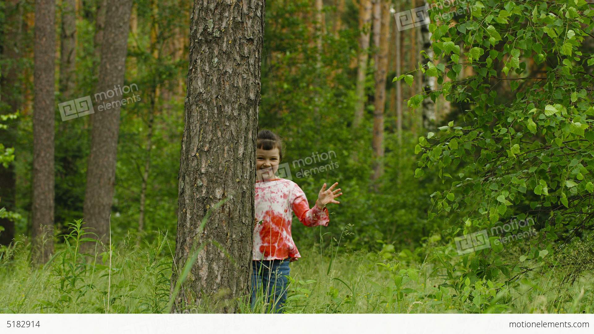 Happy Child Hiding Behind A Tree In The Forest Stock video footage ...