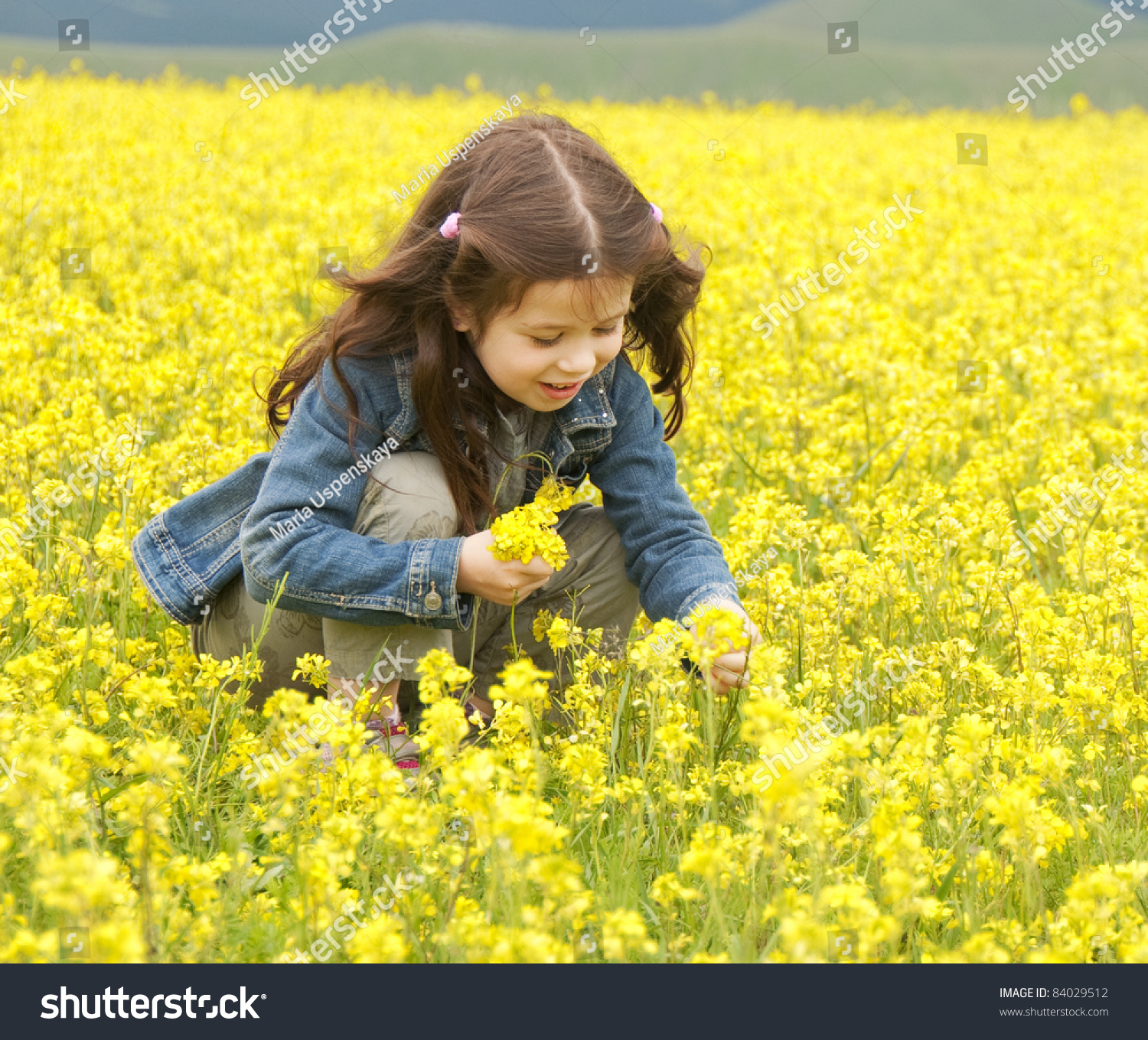 Girl Collecting Flowers Yellow Blooming Field Stock Photo (Royalty ...