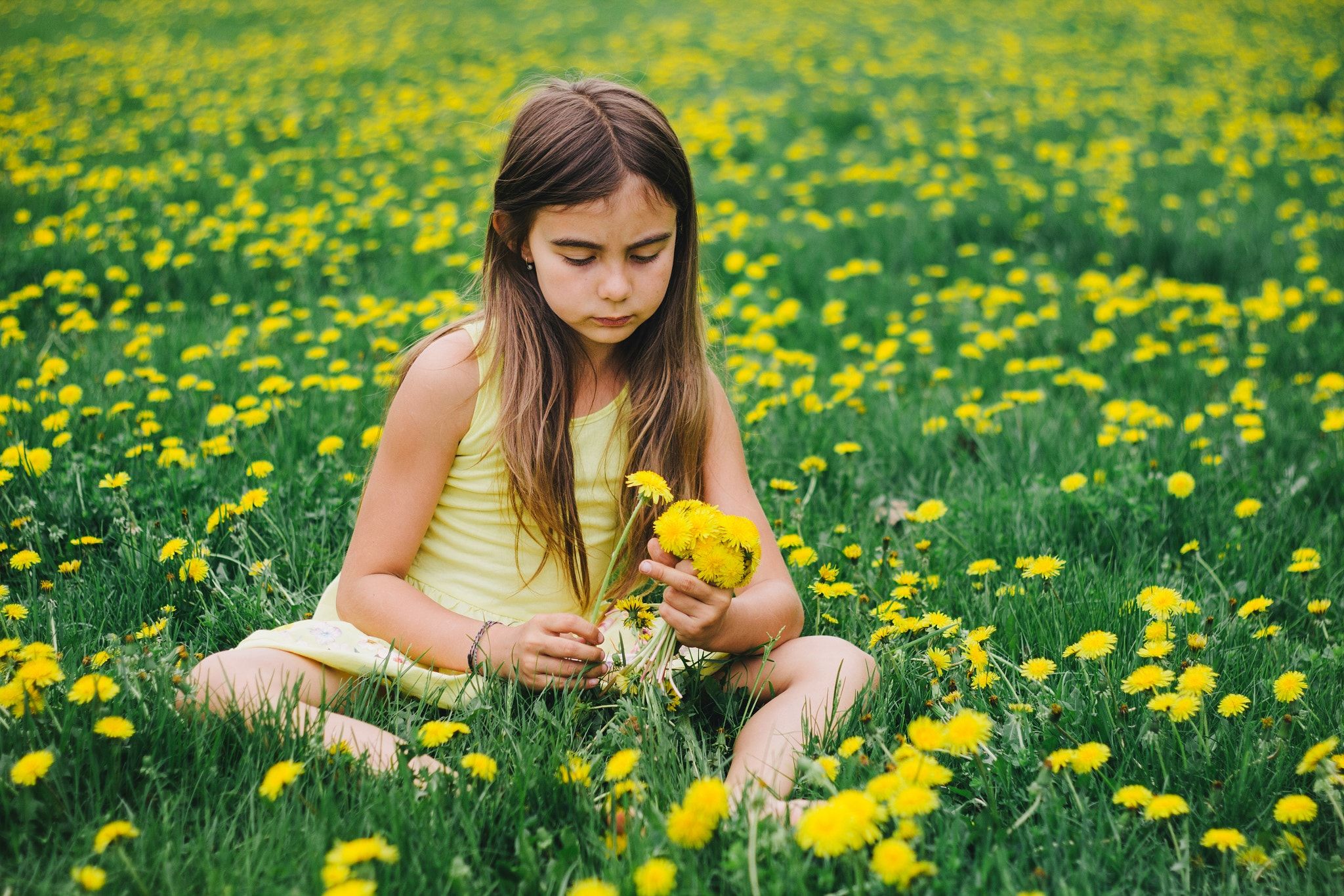 Untitled - Little girl collecting dandelion flowers. | Pequeninos ...