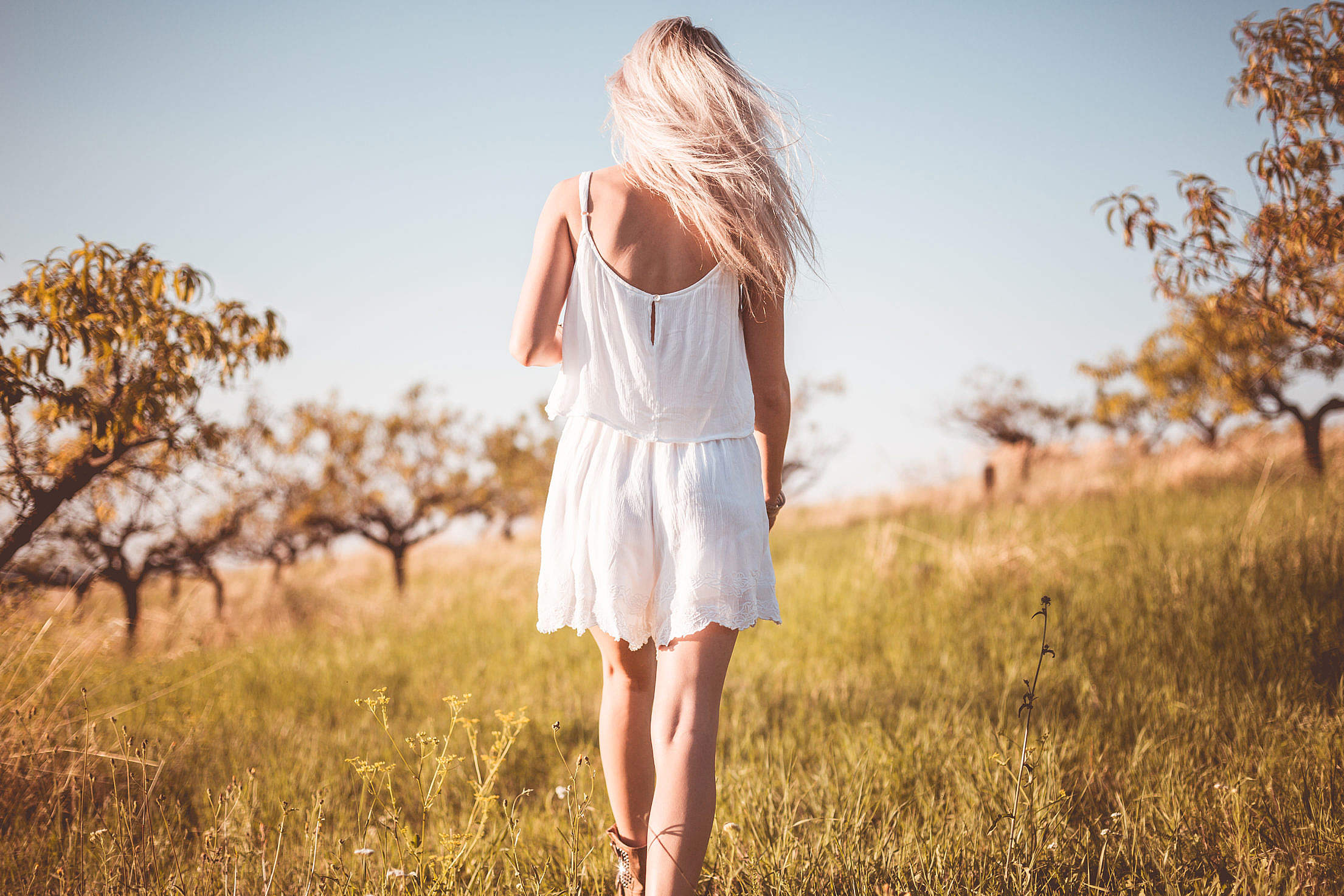 Young Pretty Girl Enjoying Her Freedom Alone Free Stock Photo ...