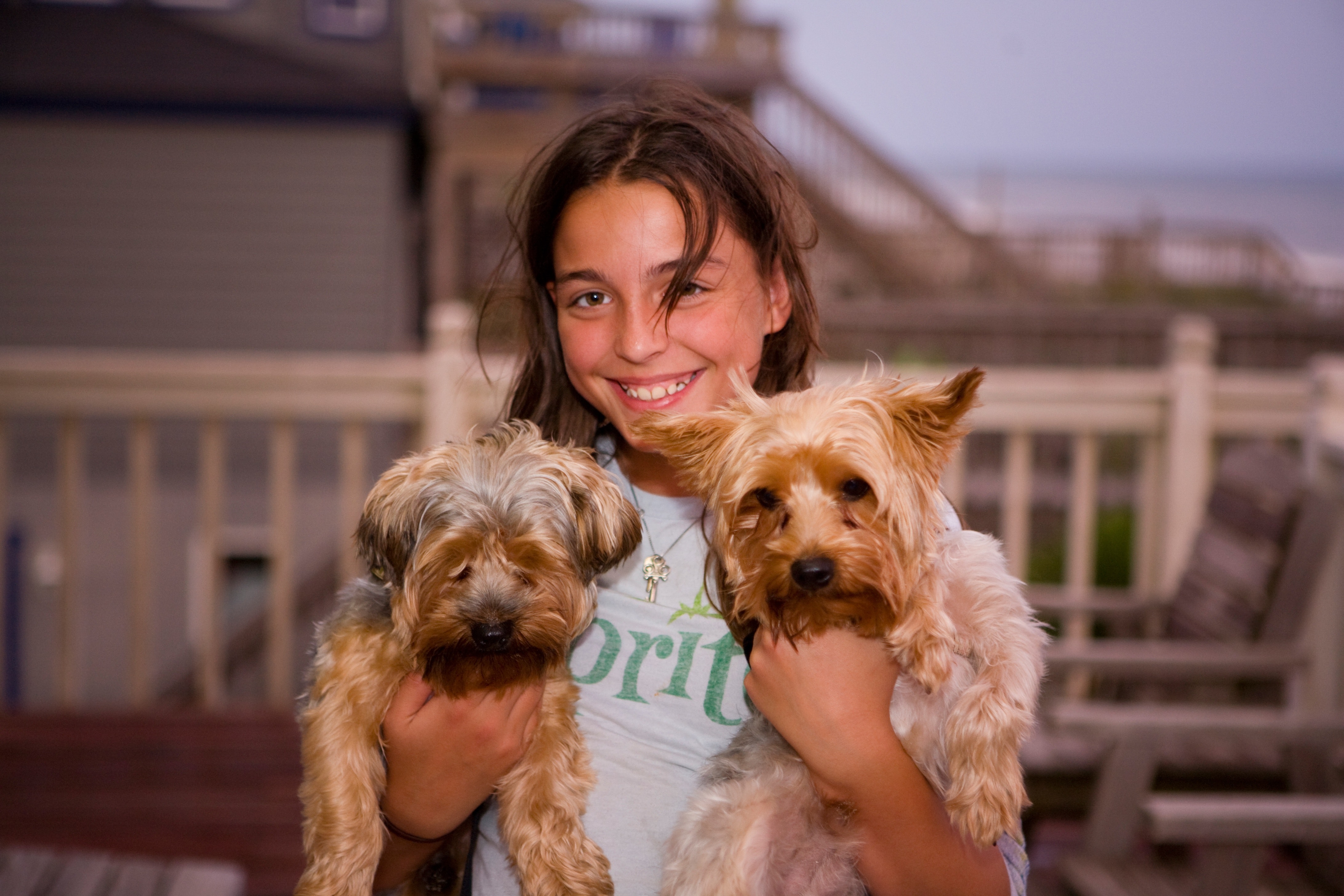 Girl holding 2 long coat small dogs smiling photo