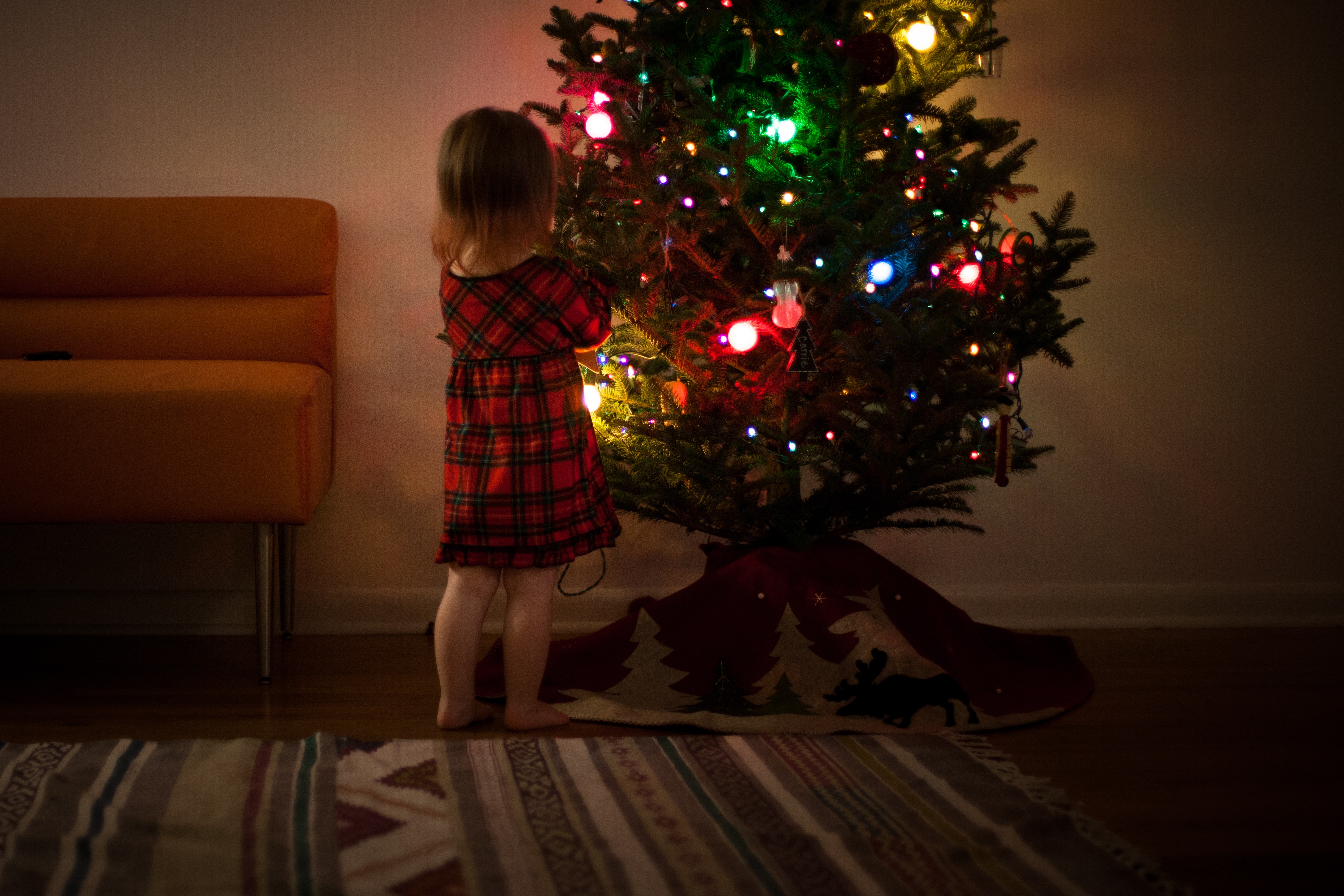 Girl in red and black dress standing in front of christmas tree inside room photo