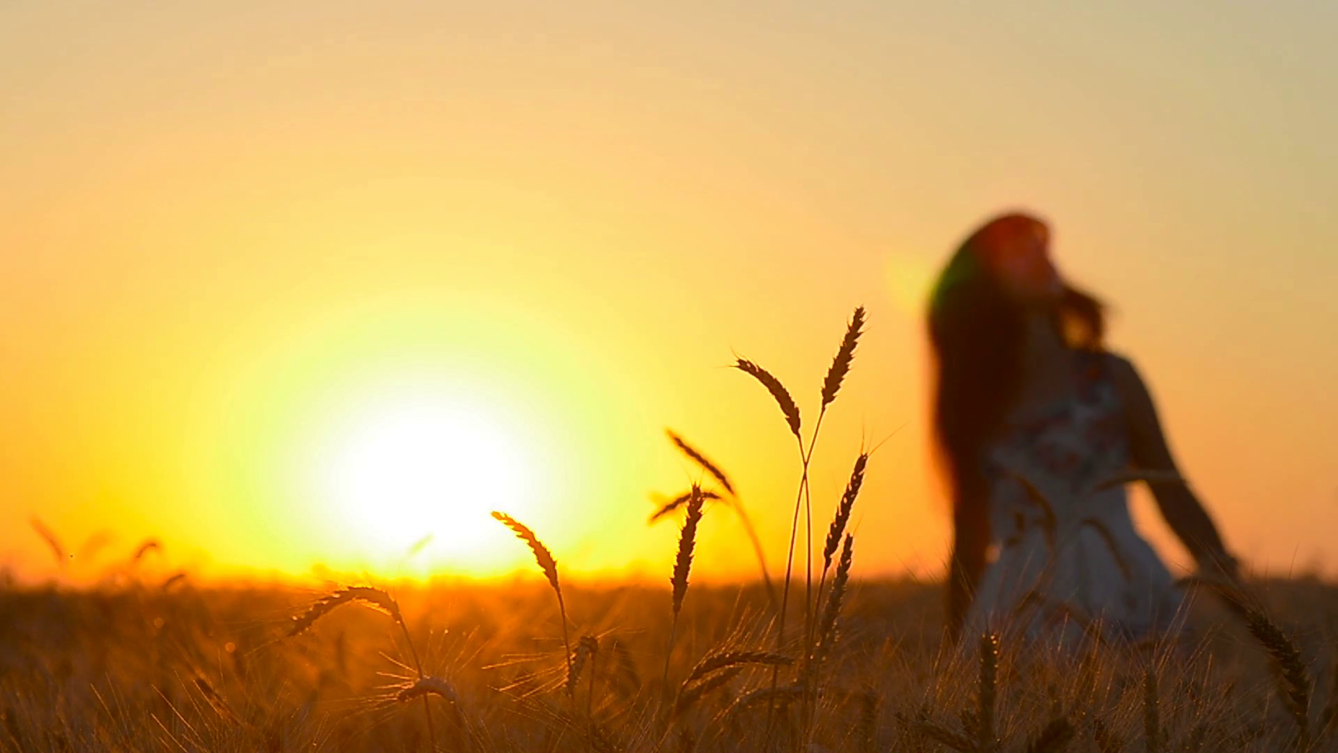 girl dancing in sunset in a wheat field, ears of wheat on sun ...