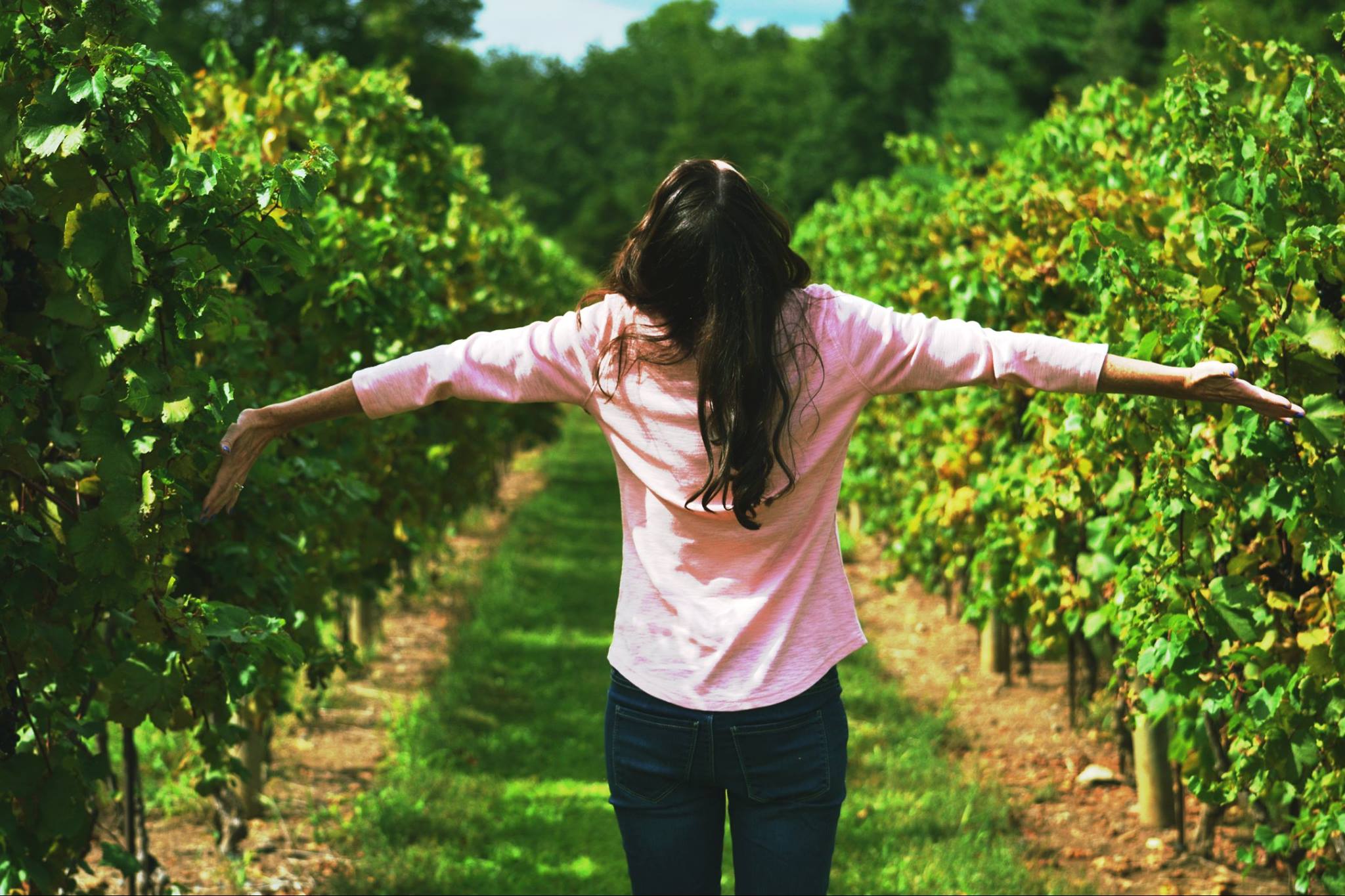 Ten Reasons to Plan a “Girls' Day Out” at a Vineyard - Prayer Wine ...