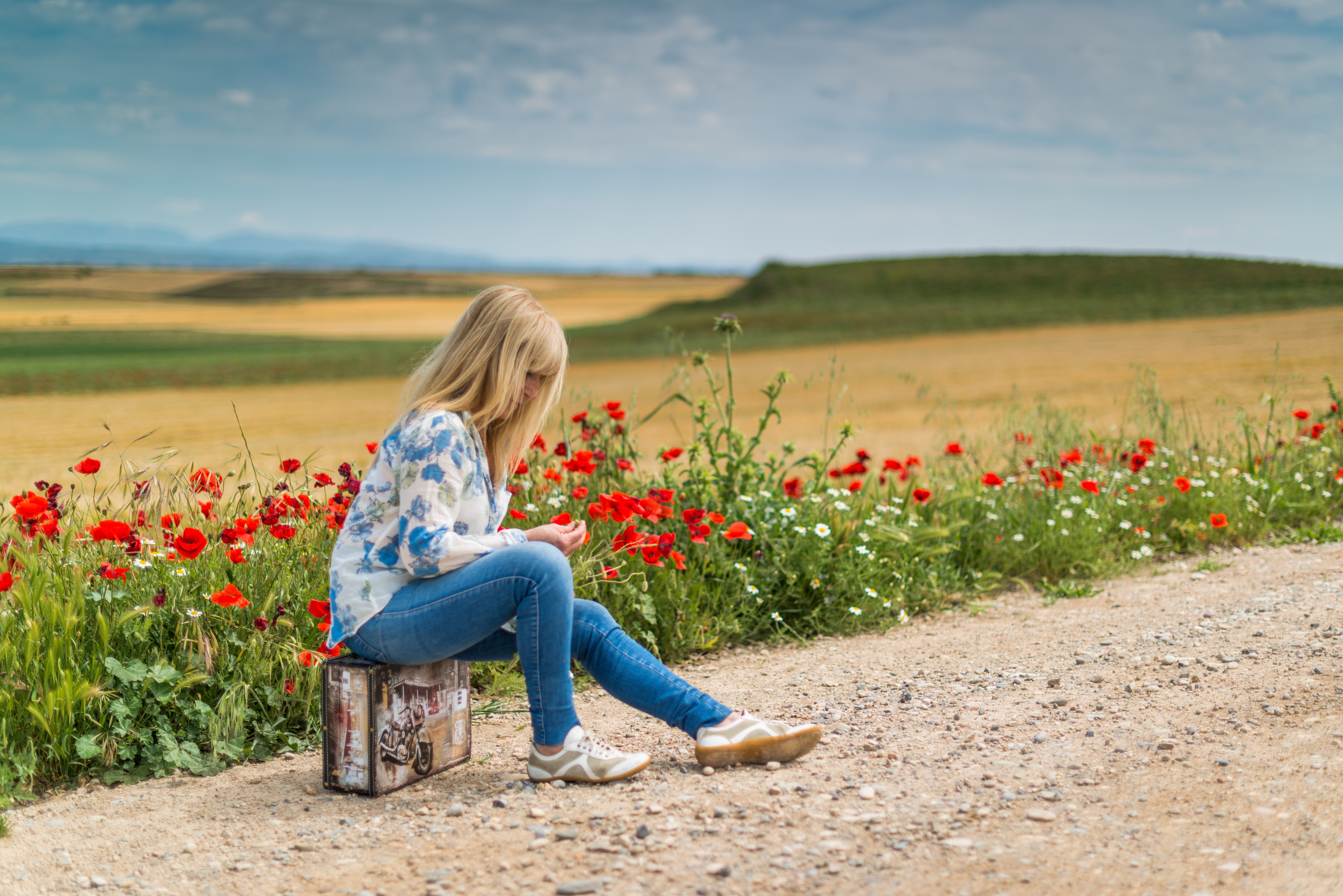 Girl near red petal flowers at daytime photo