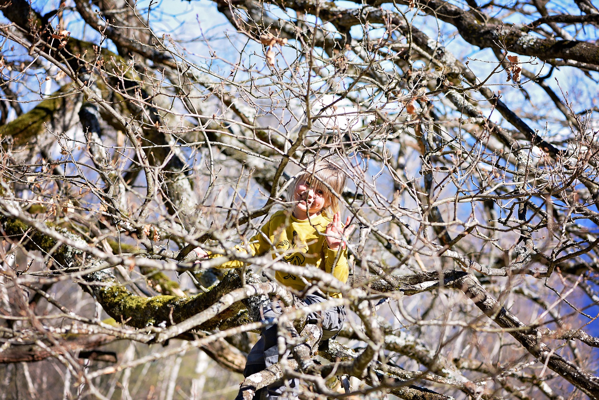 Girl on the tree photo