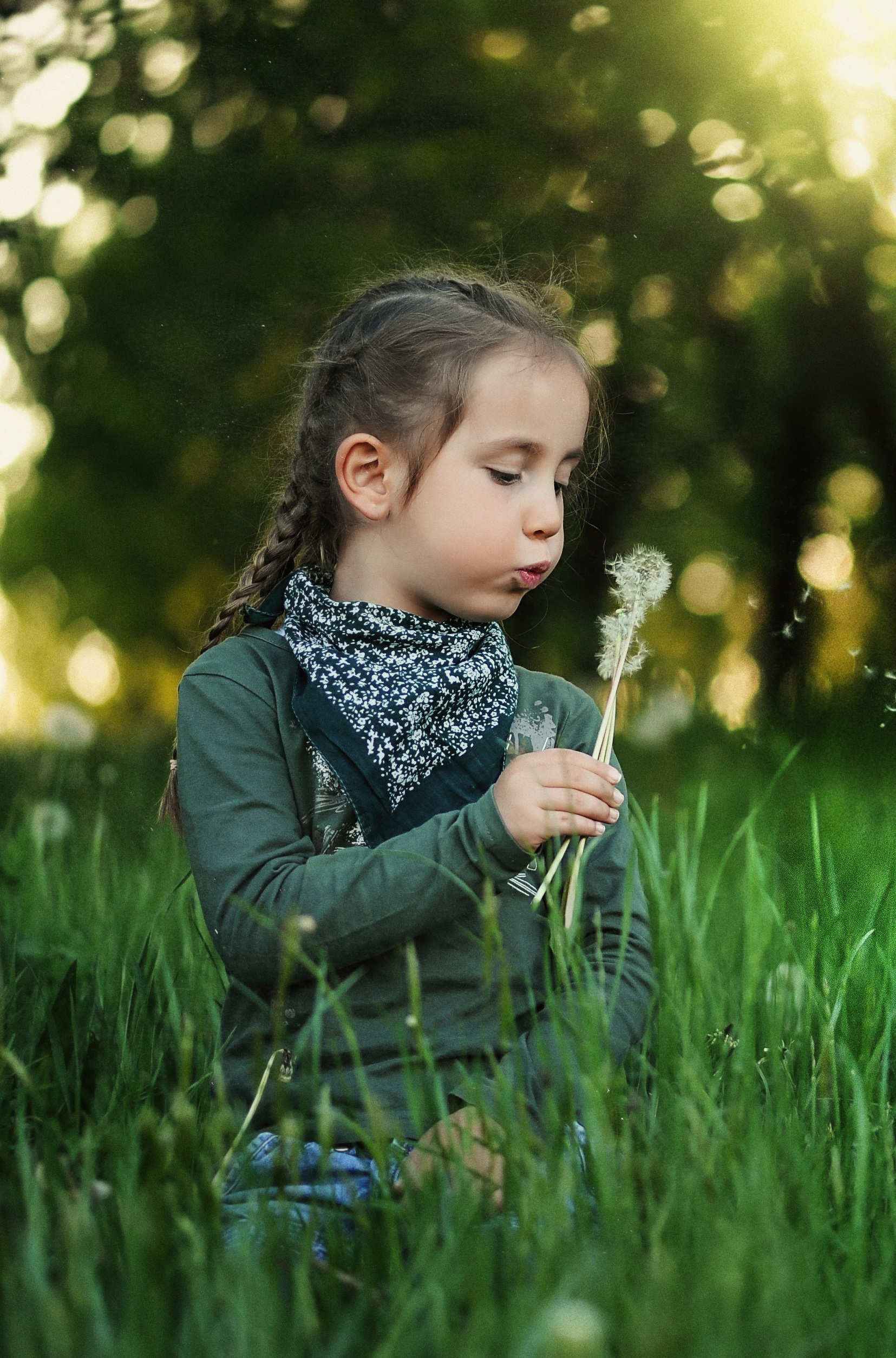 Girl with a dandelion photo