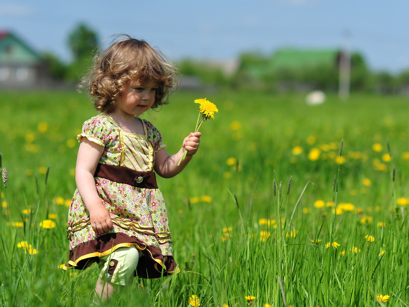 One Pic: Wallpaper Sweet Little Girl with Flowers
