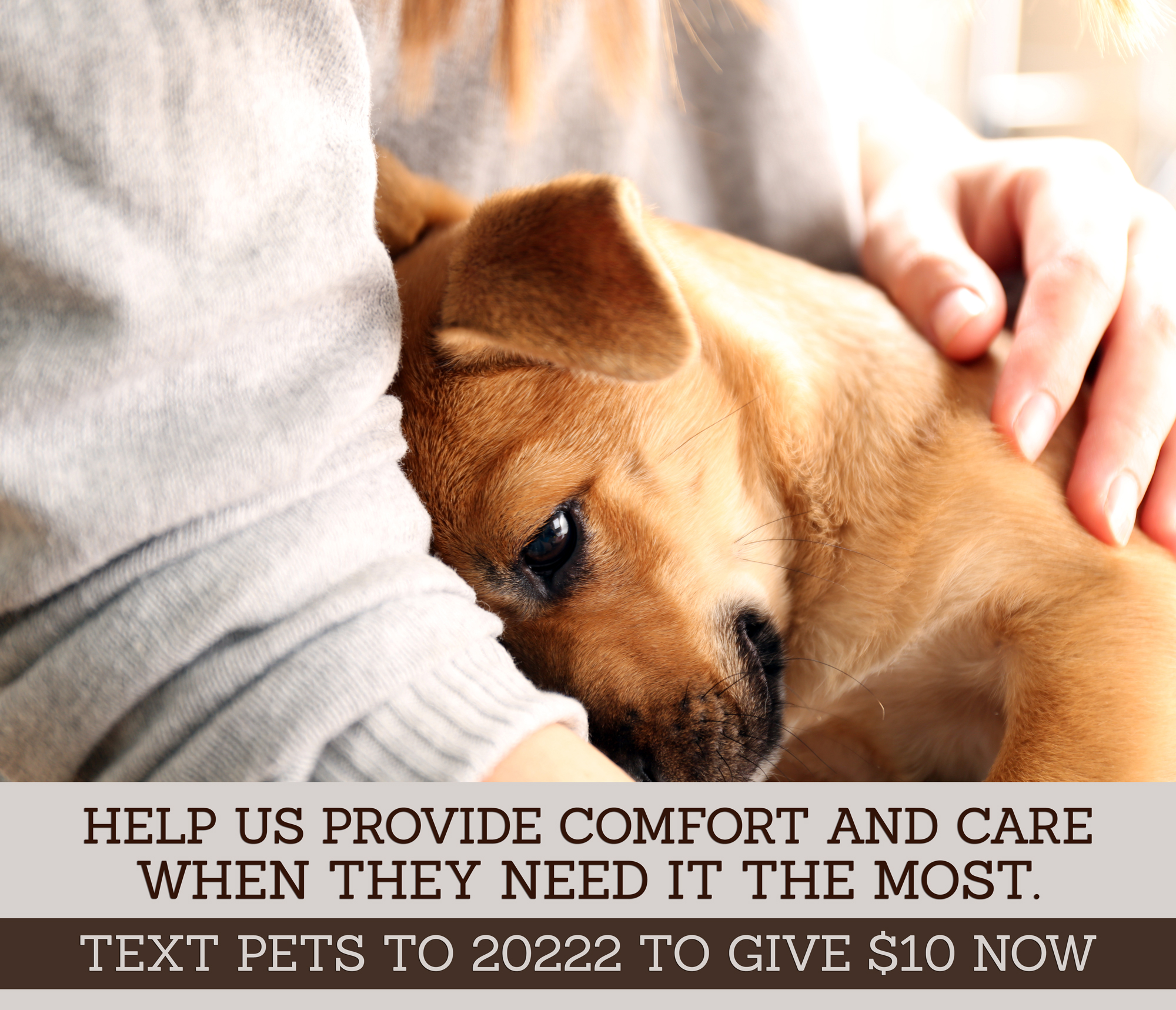 Text To Give - Animal Refuge League of Greater Portland - Maine ...