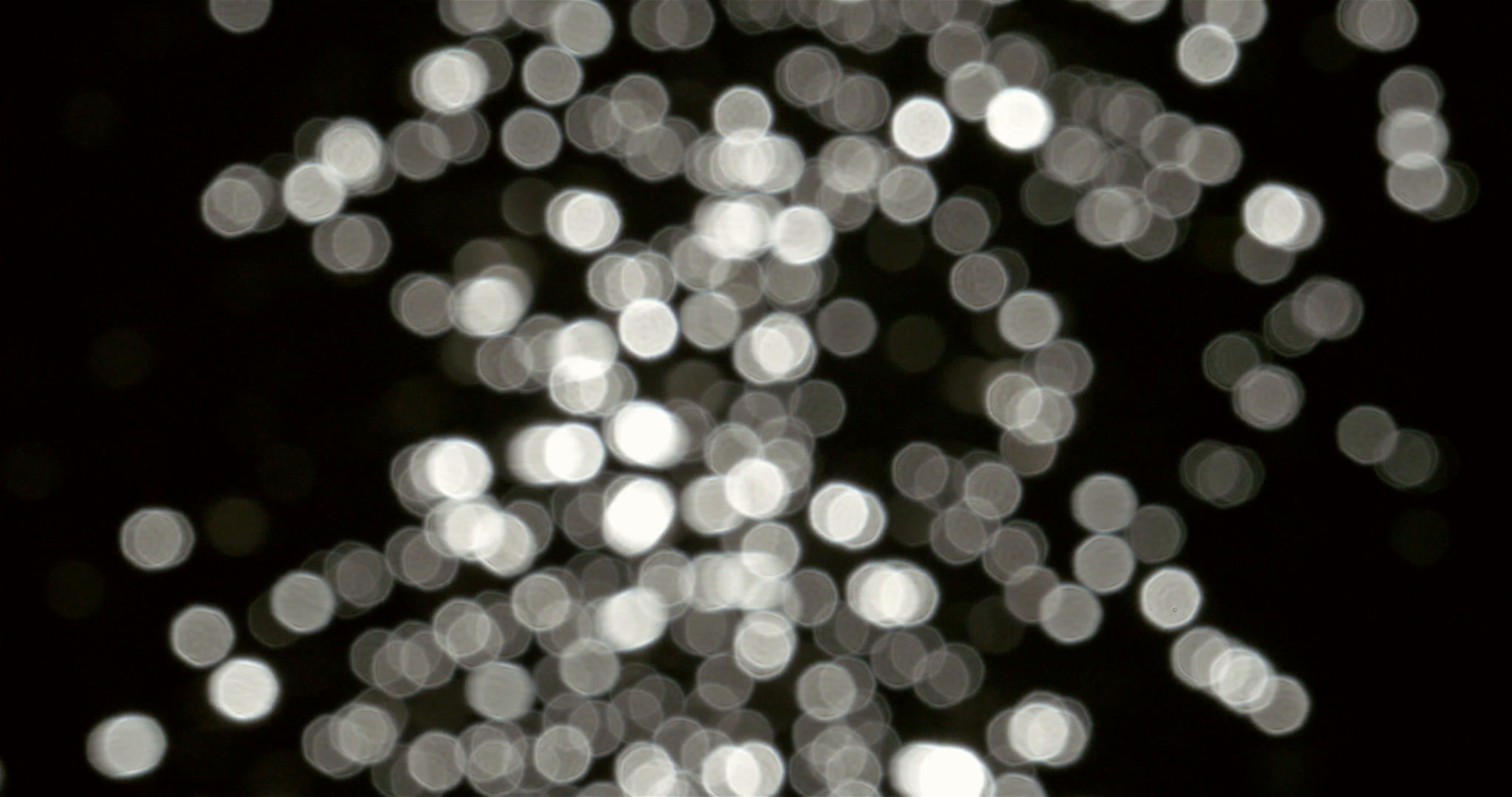 Abstract Bokeh Of White Circles Of Sun Glare Reflection Over Water ...