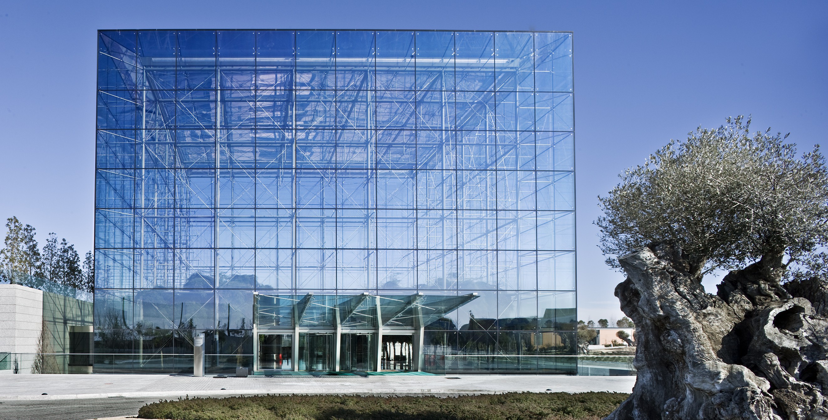 Free photo: Glass Building - Architecture, Building, Construction