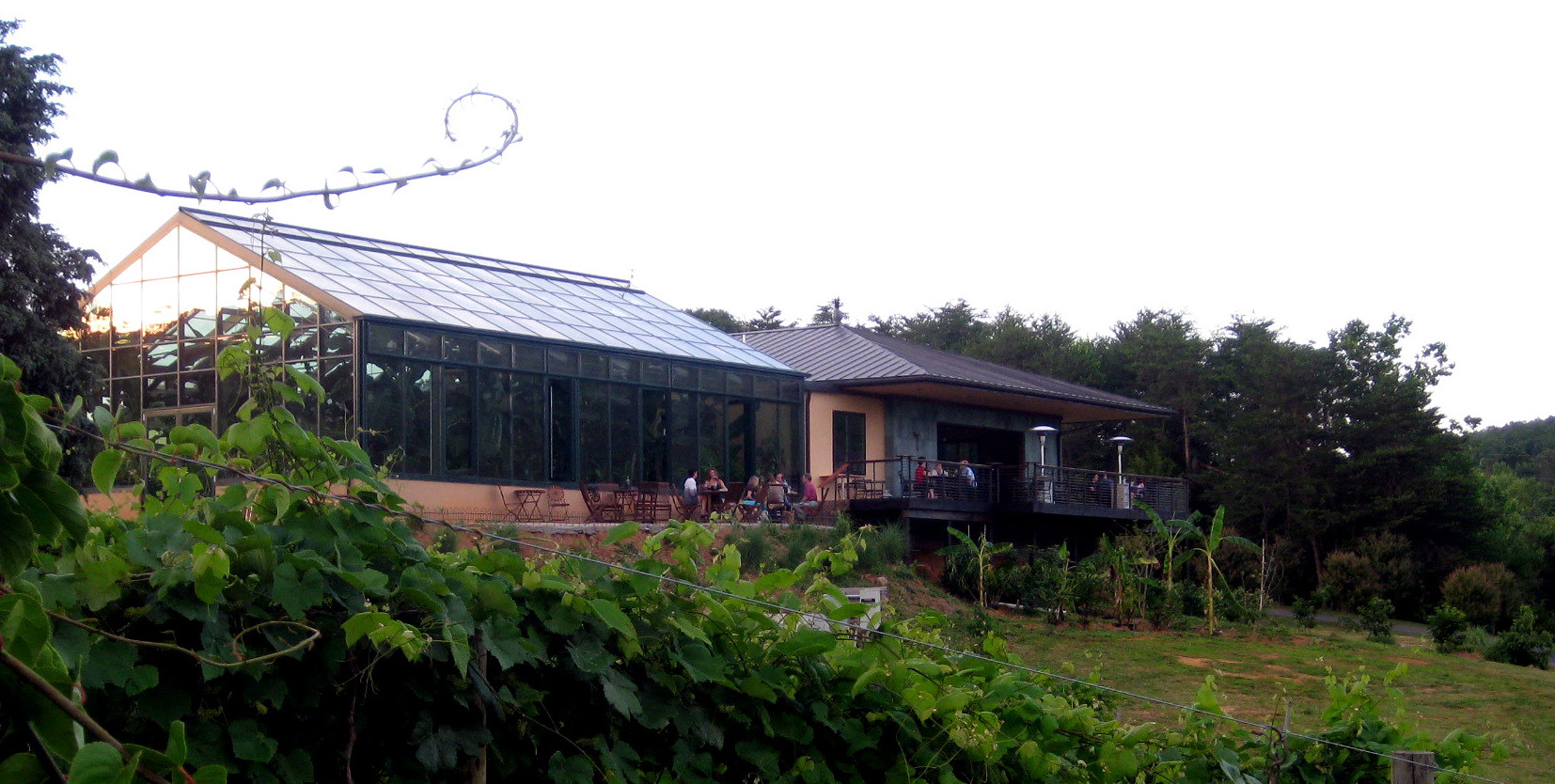 Welcome to Glass House - Glass House Winery