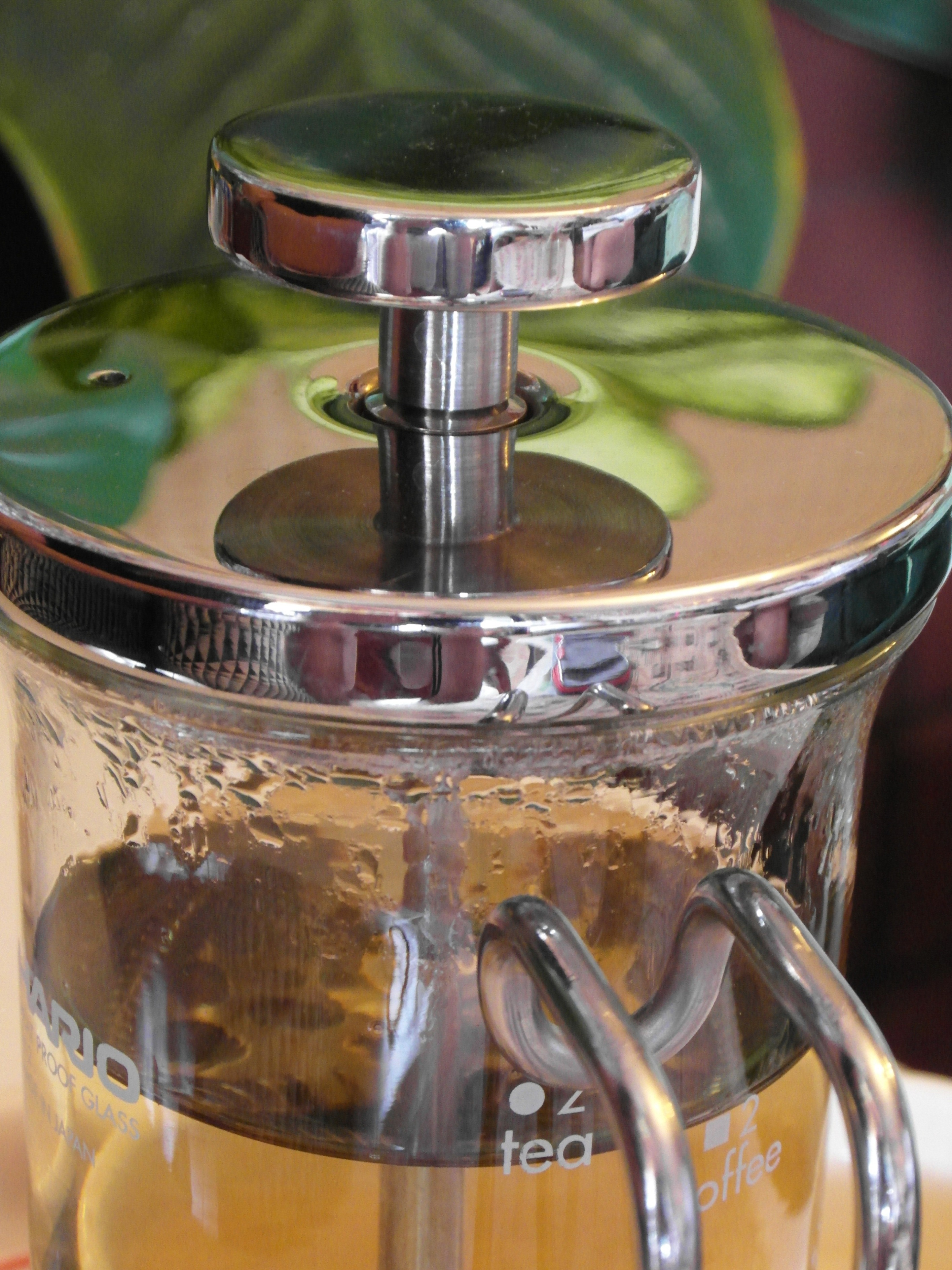 Glass teapot with green tea photo