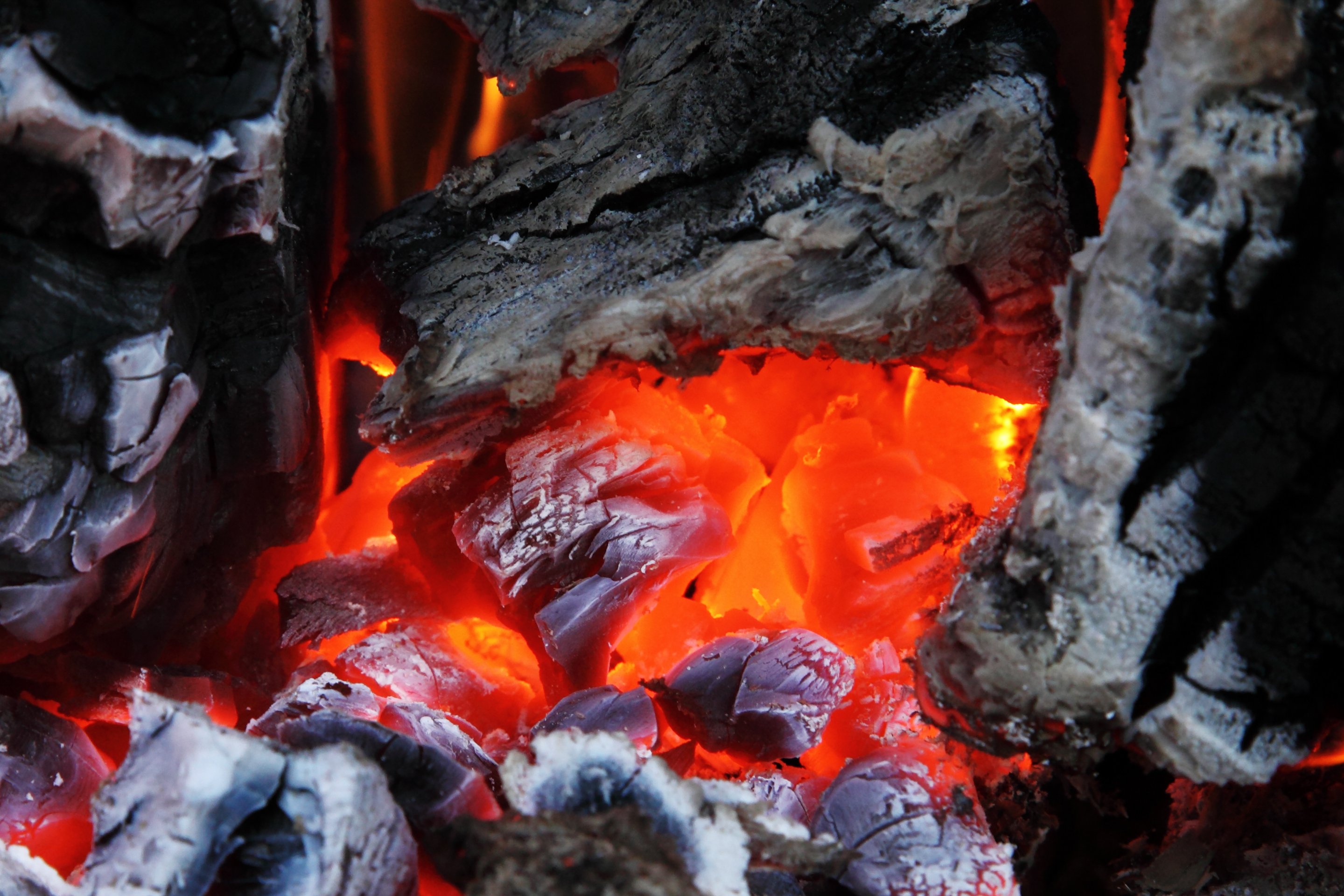 Glowing wood charcoal photo
