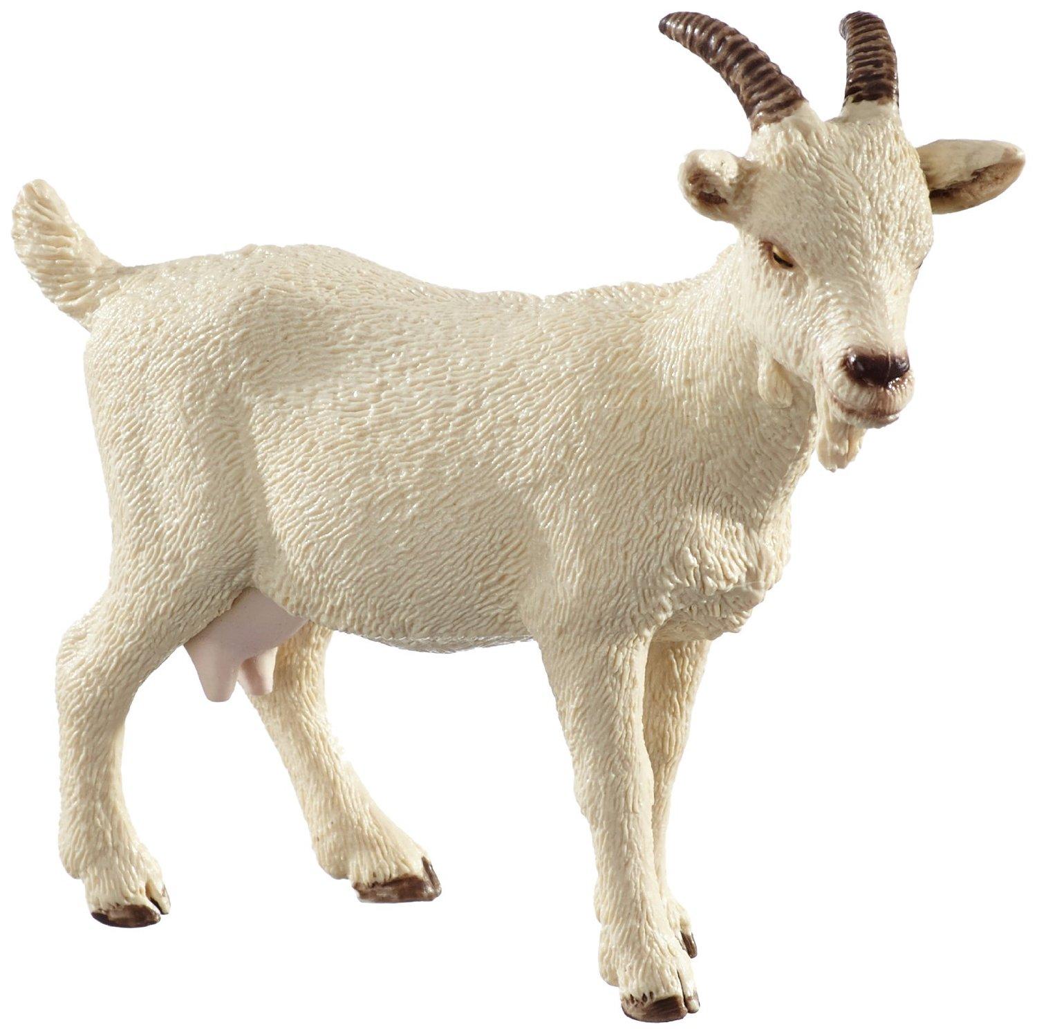 Amazon.com: Schleich Domestic Goat Toy Figure: Toys & Games