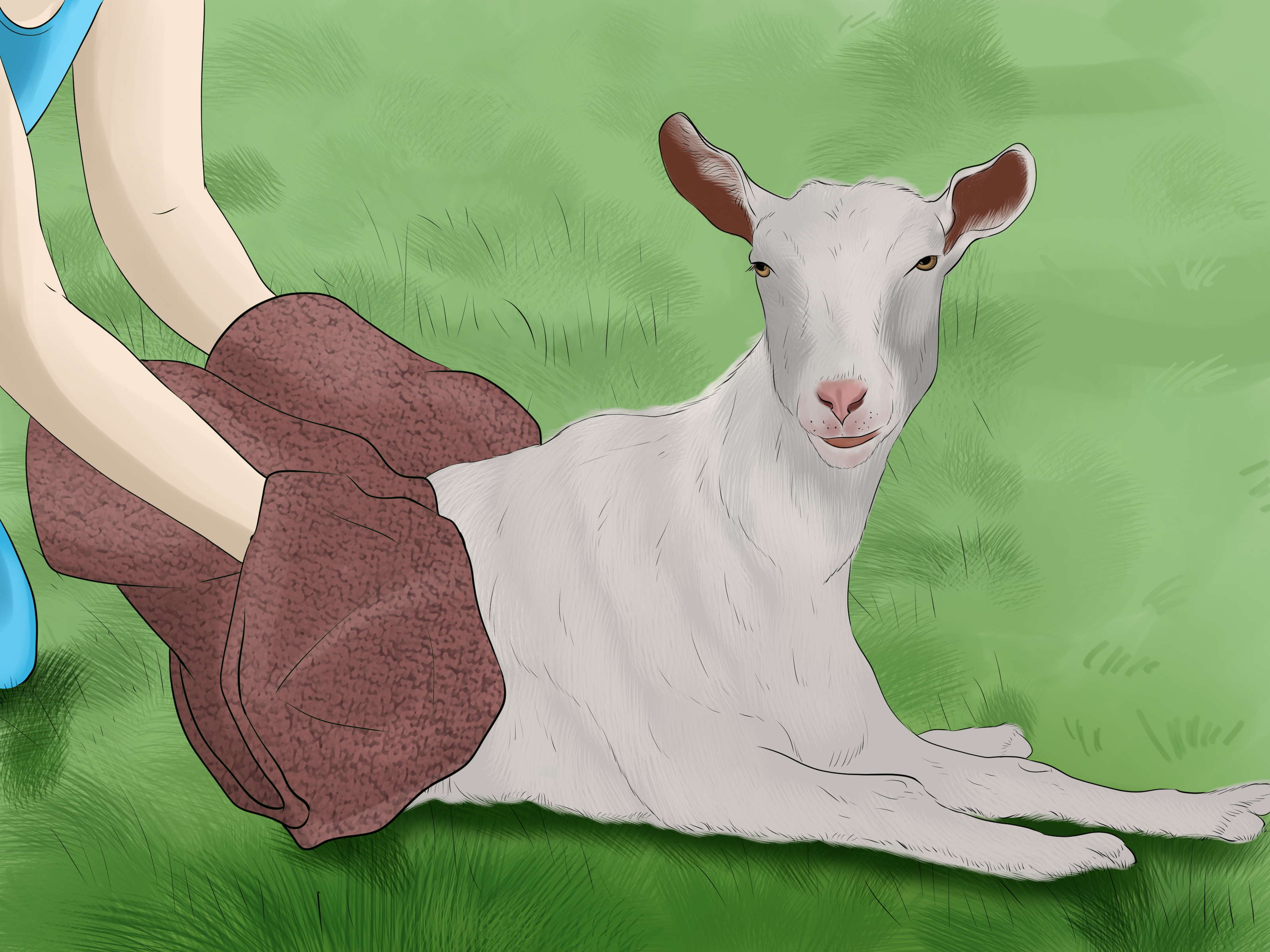 How to Wash a Goat: 9 Steps (with Pictures) - wikiHow