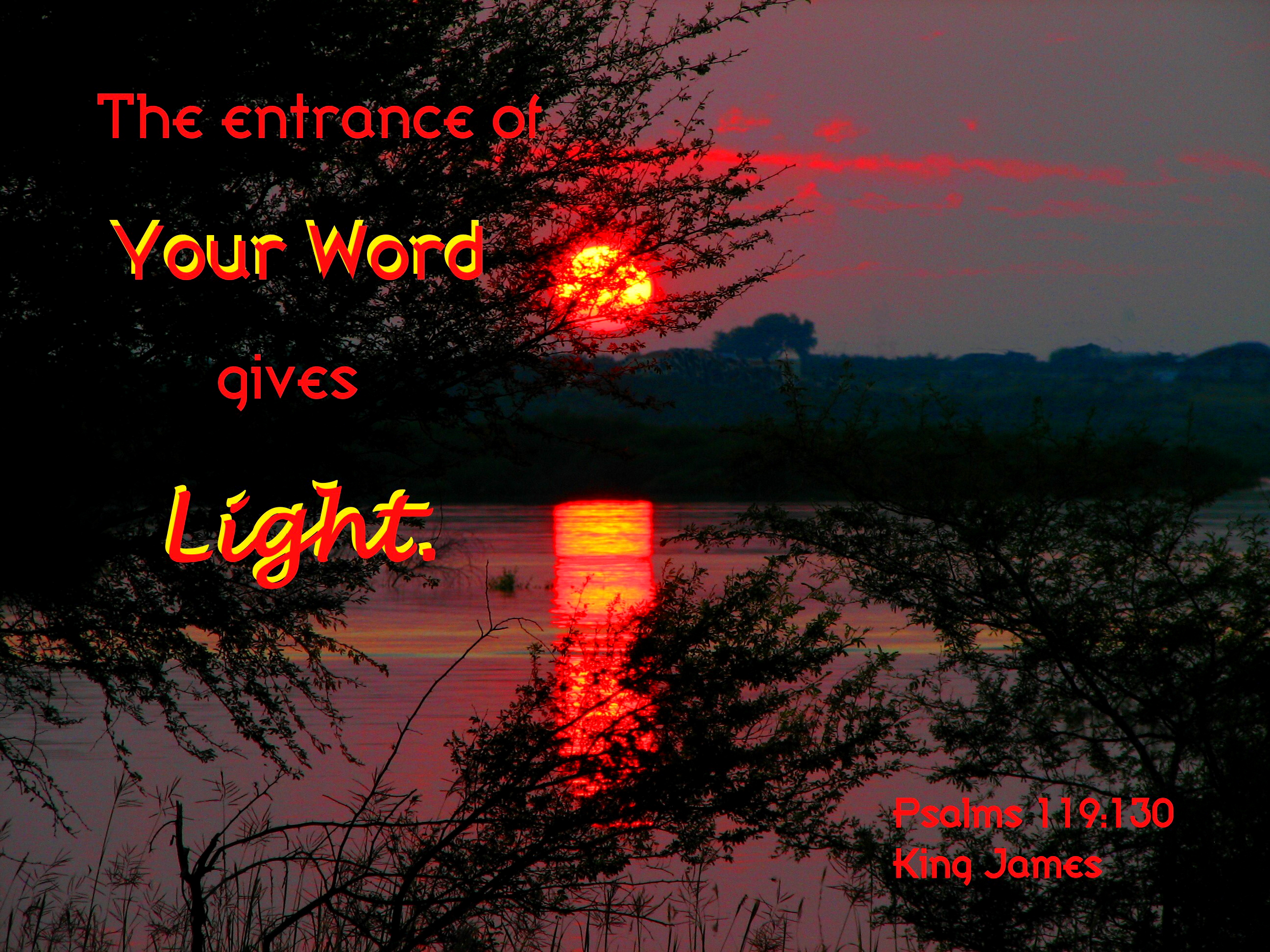 God's word gives light photo
