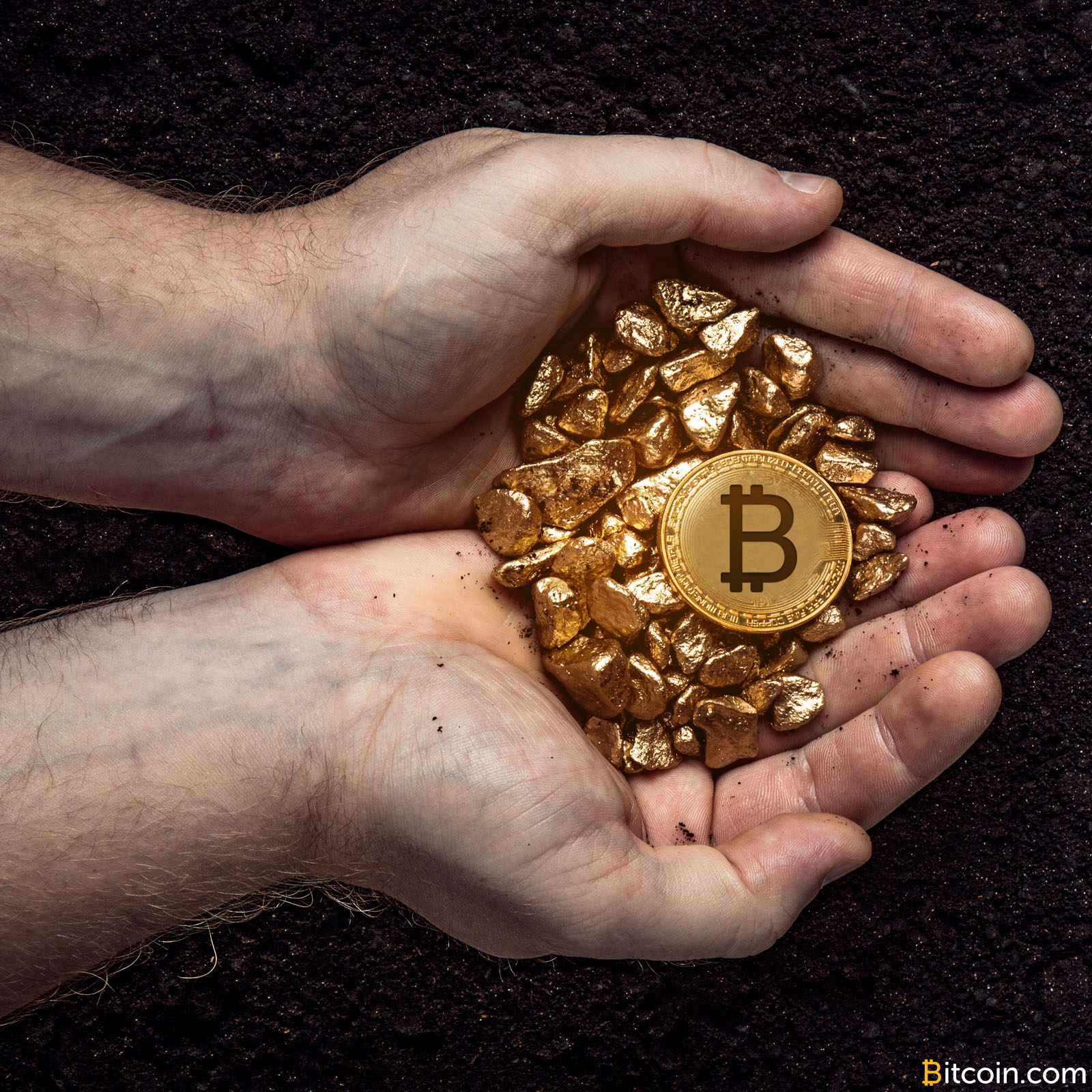 Another Fork? Bitcoin Gold Project Plans to Fork Bitcoin Next Month ...