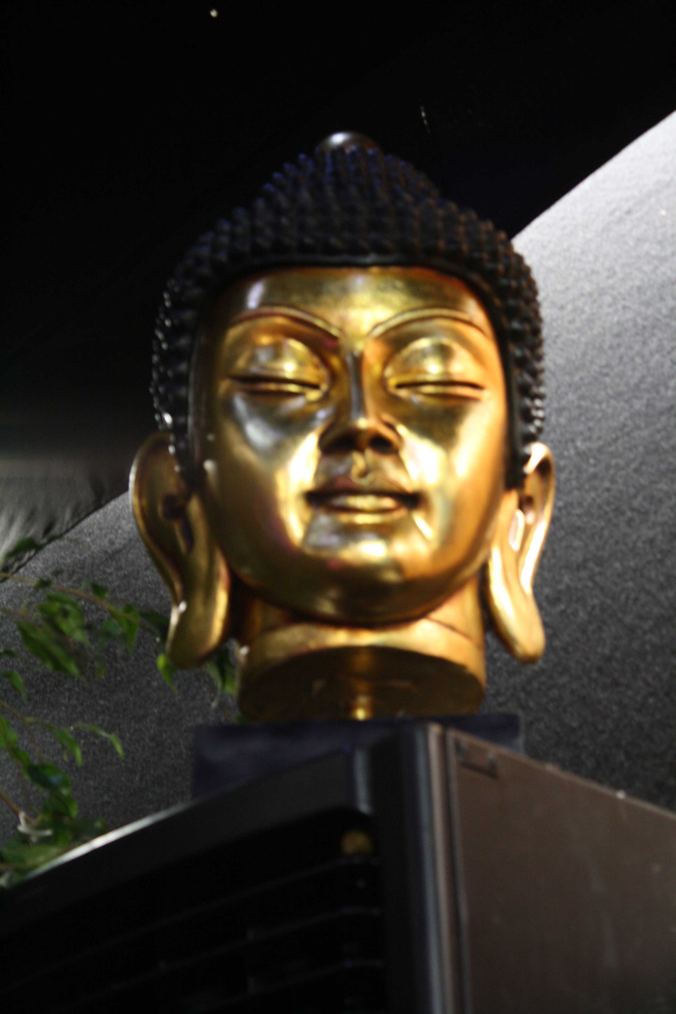 Gold Buddha Head | More Production