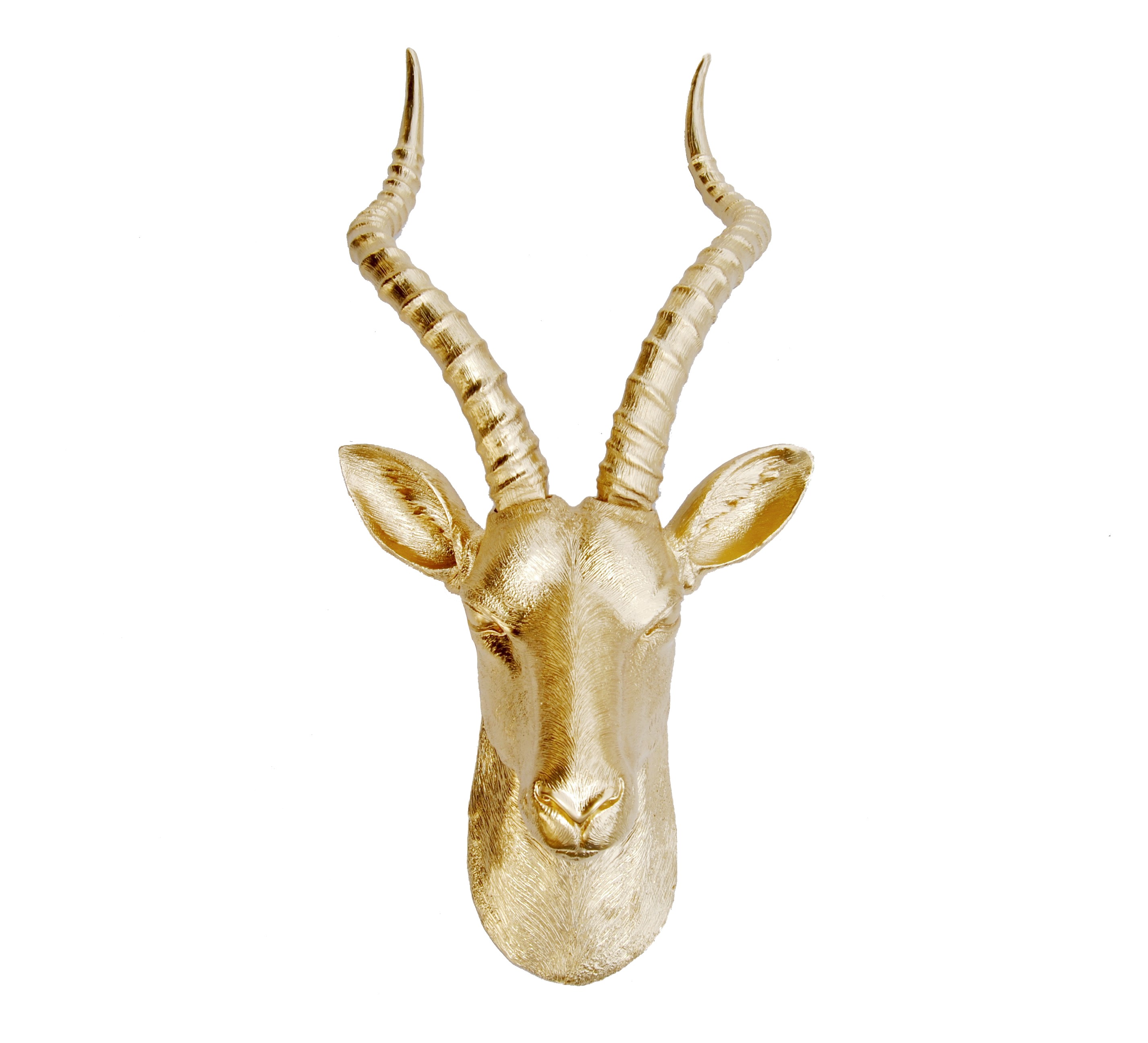 Antelope Head Wall Mount // Gold