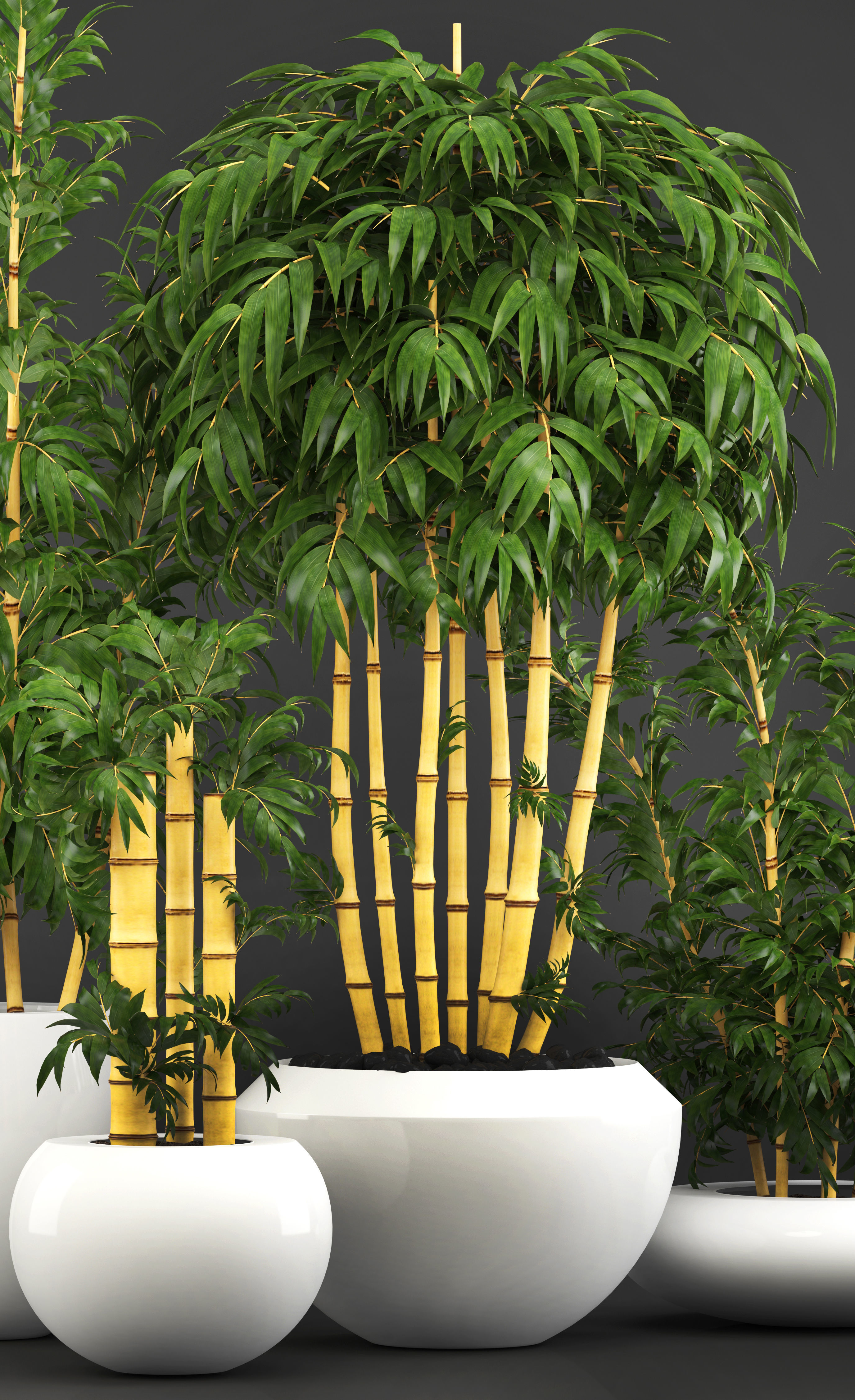 Golden bamboo trees 3D | CGTrader
