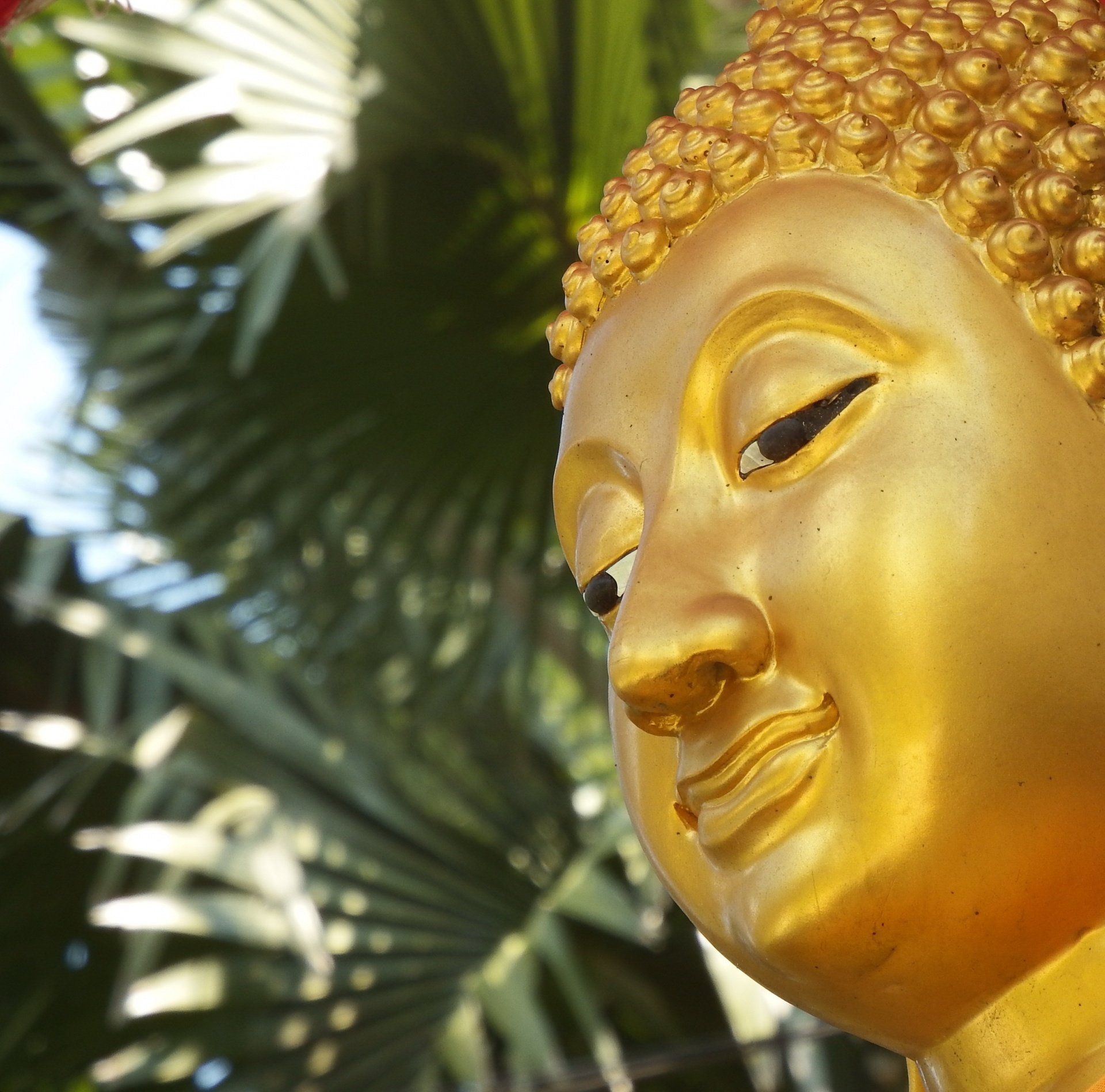 Golden Buddha Face Free Stock Photo - Public Domain Pictures