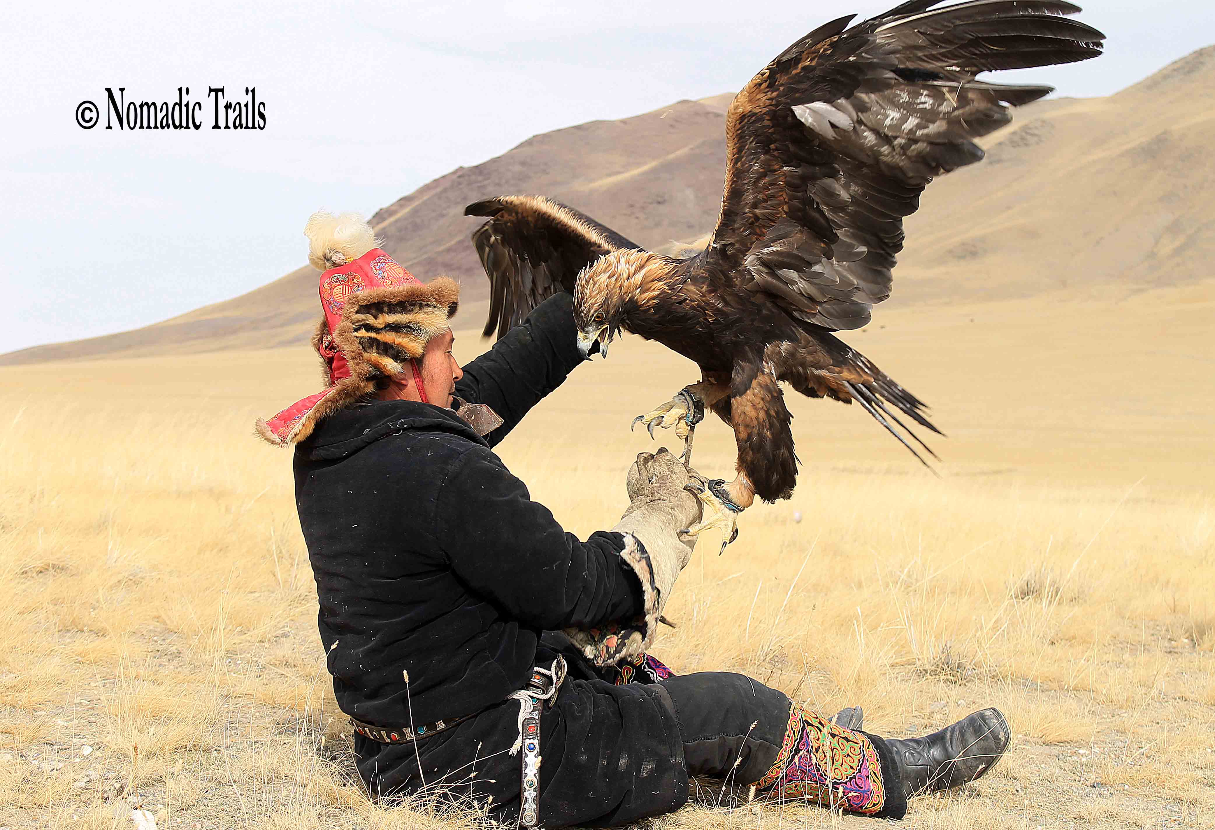 Golden eagle festival | one of the must see things of Mongolia