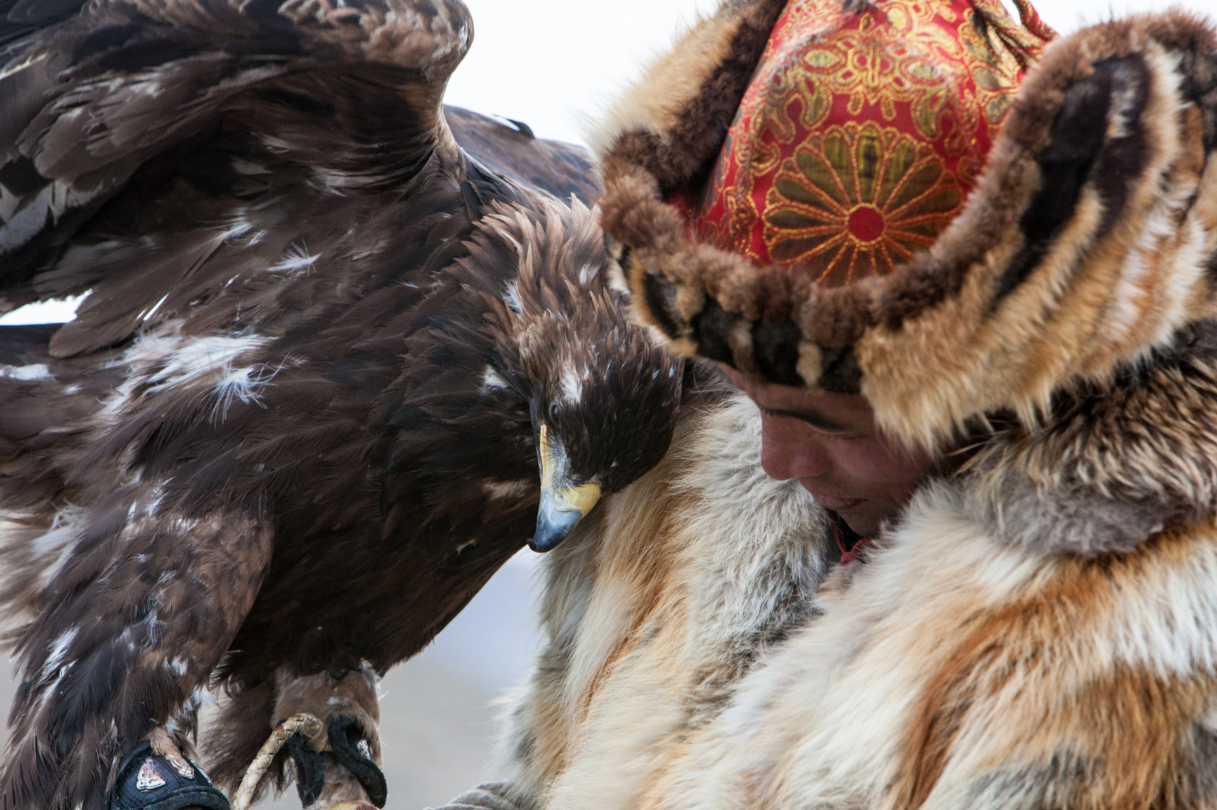 Just Back From...The Golden Eagle Festival! - Nomadic Expeditions