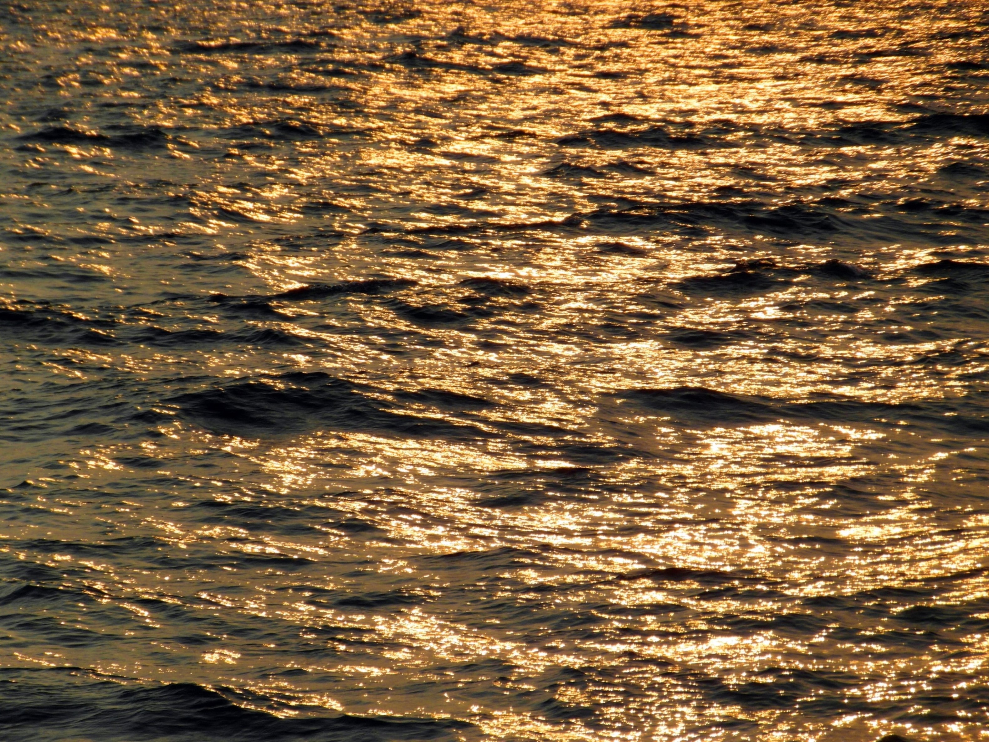 Golden ocean photo