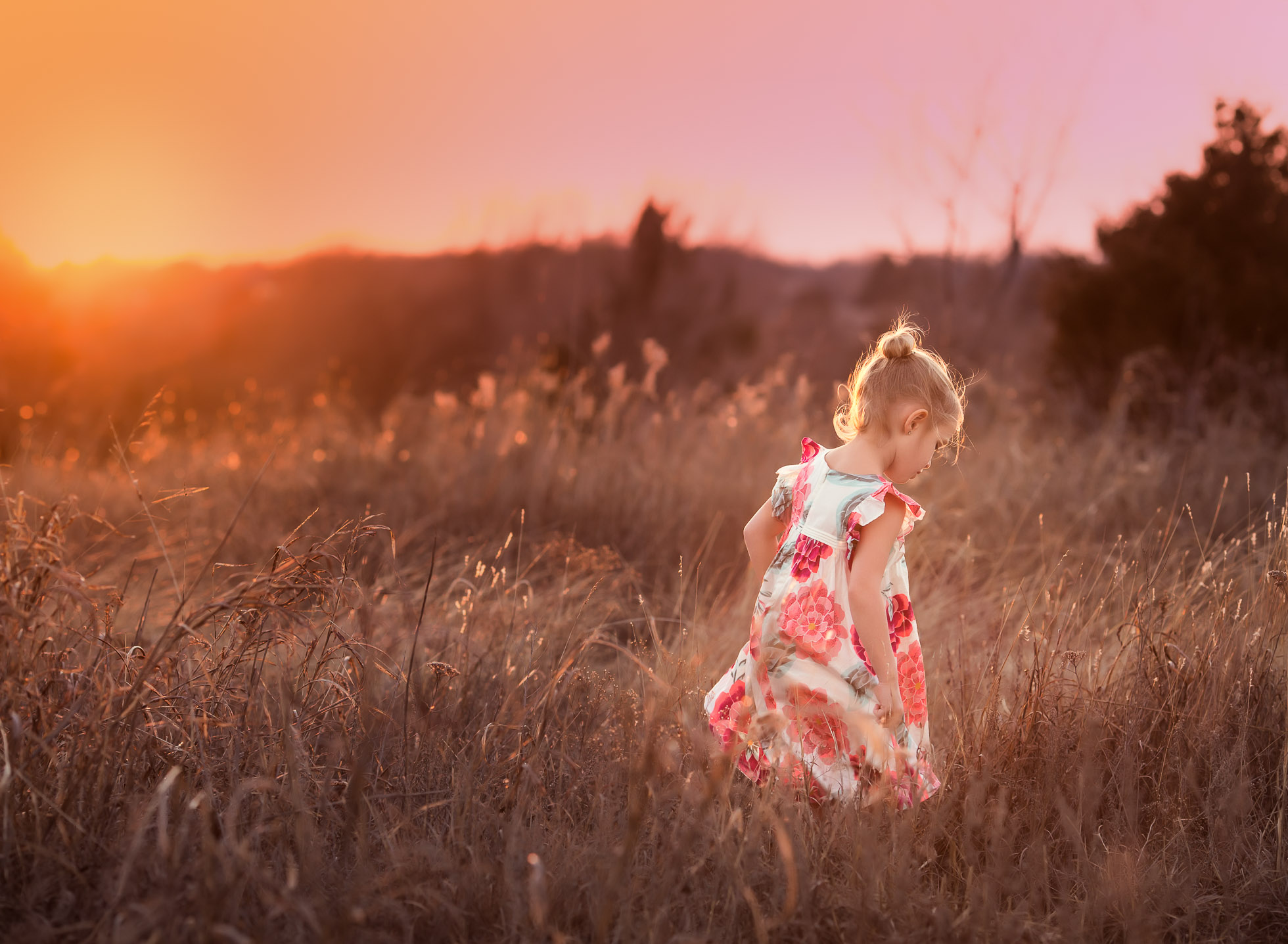 Warm Winter Sunset by Kate Luber