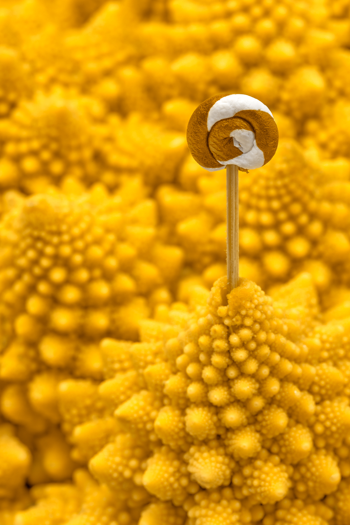 Golden Romanesco Lollipop - HDR, Abstract, Pure, Sci-fi, Sci, HQ Photo