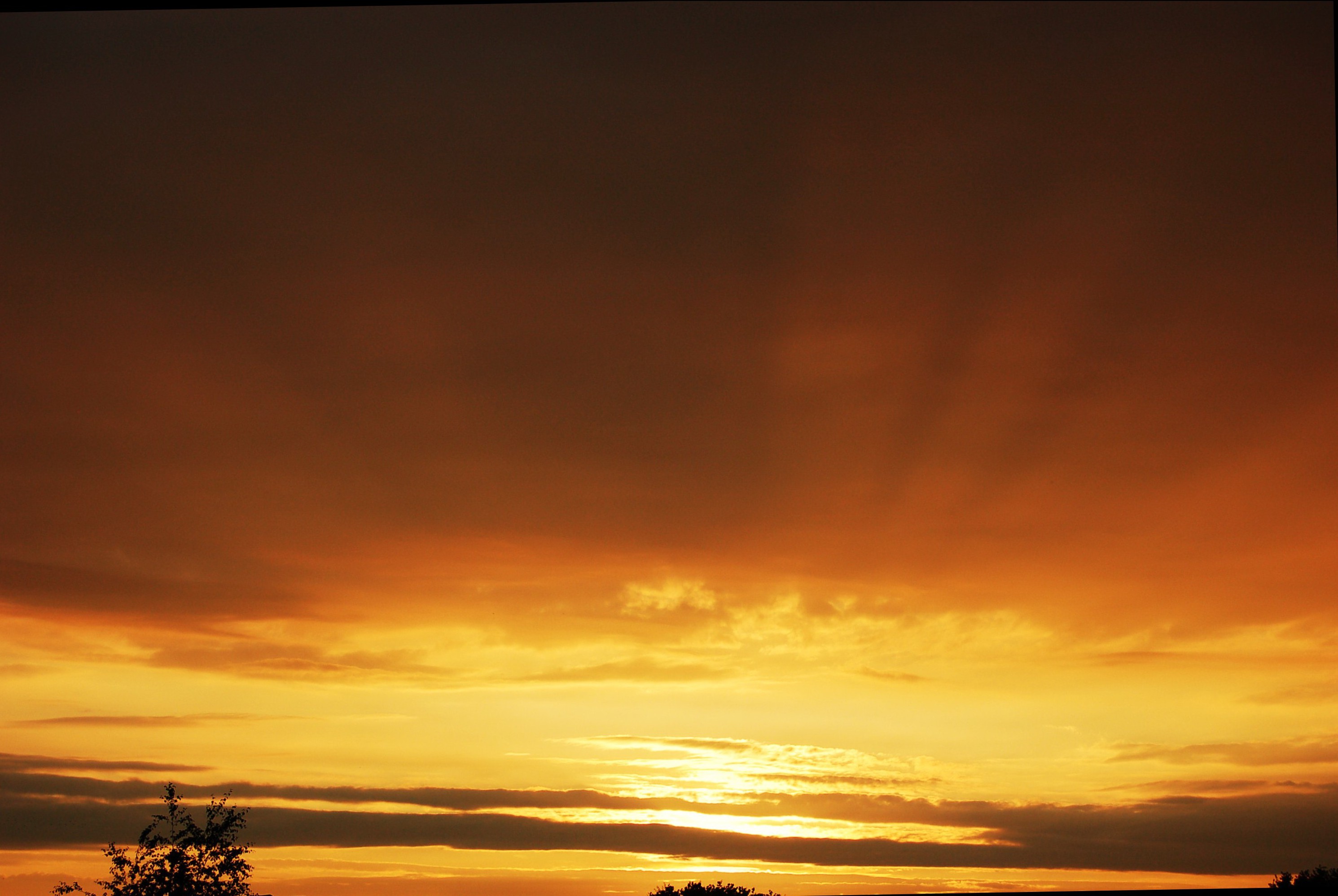 File:Golden sky (4080648531).jpg - Wikimedia Commons