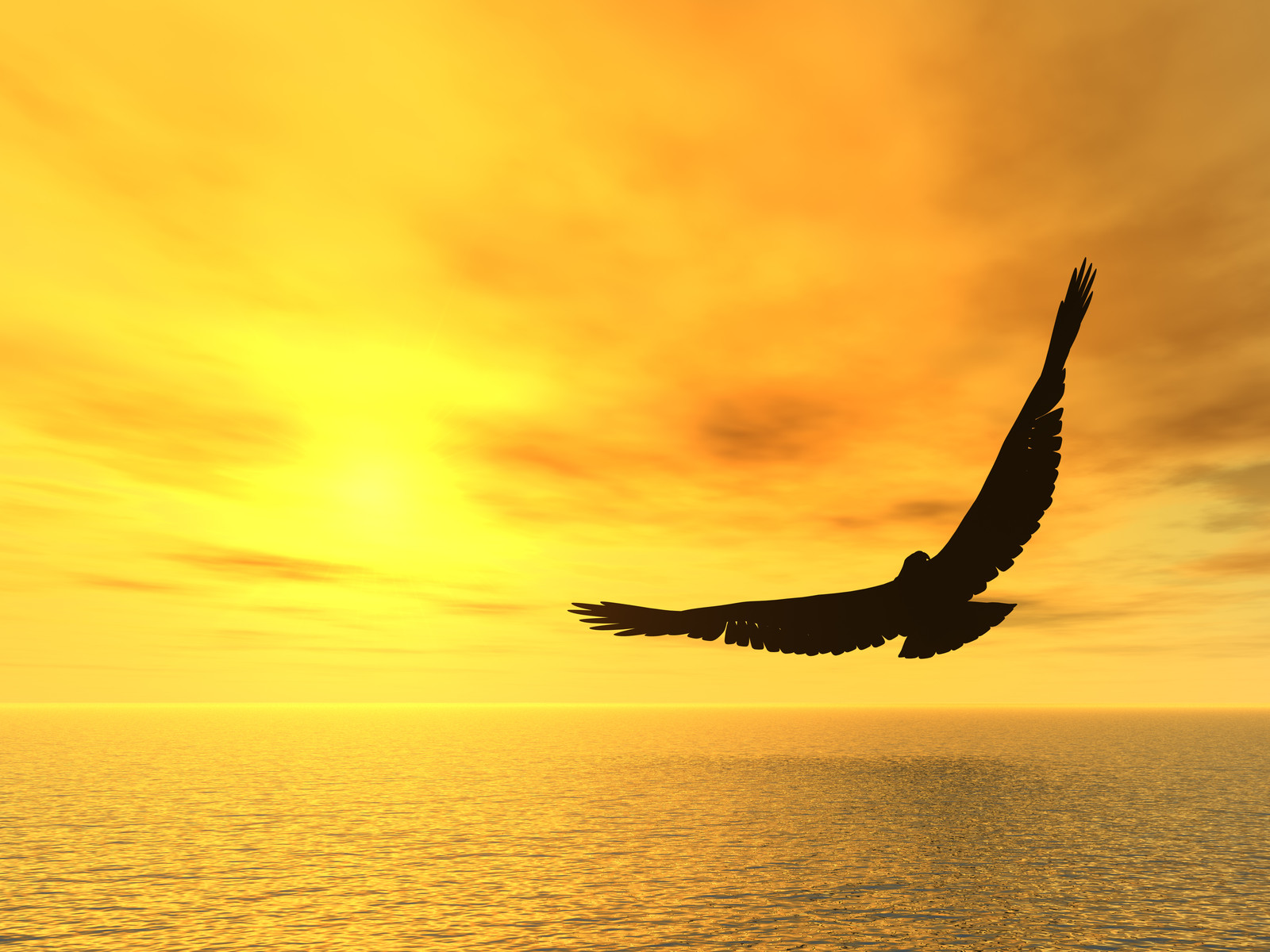 soaring eagle golden sky - Ananda Portland