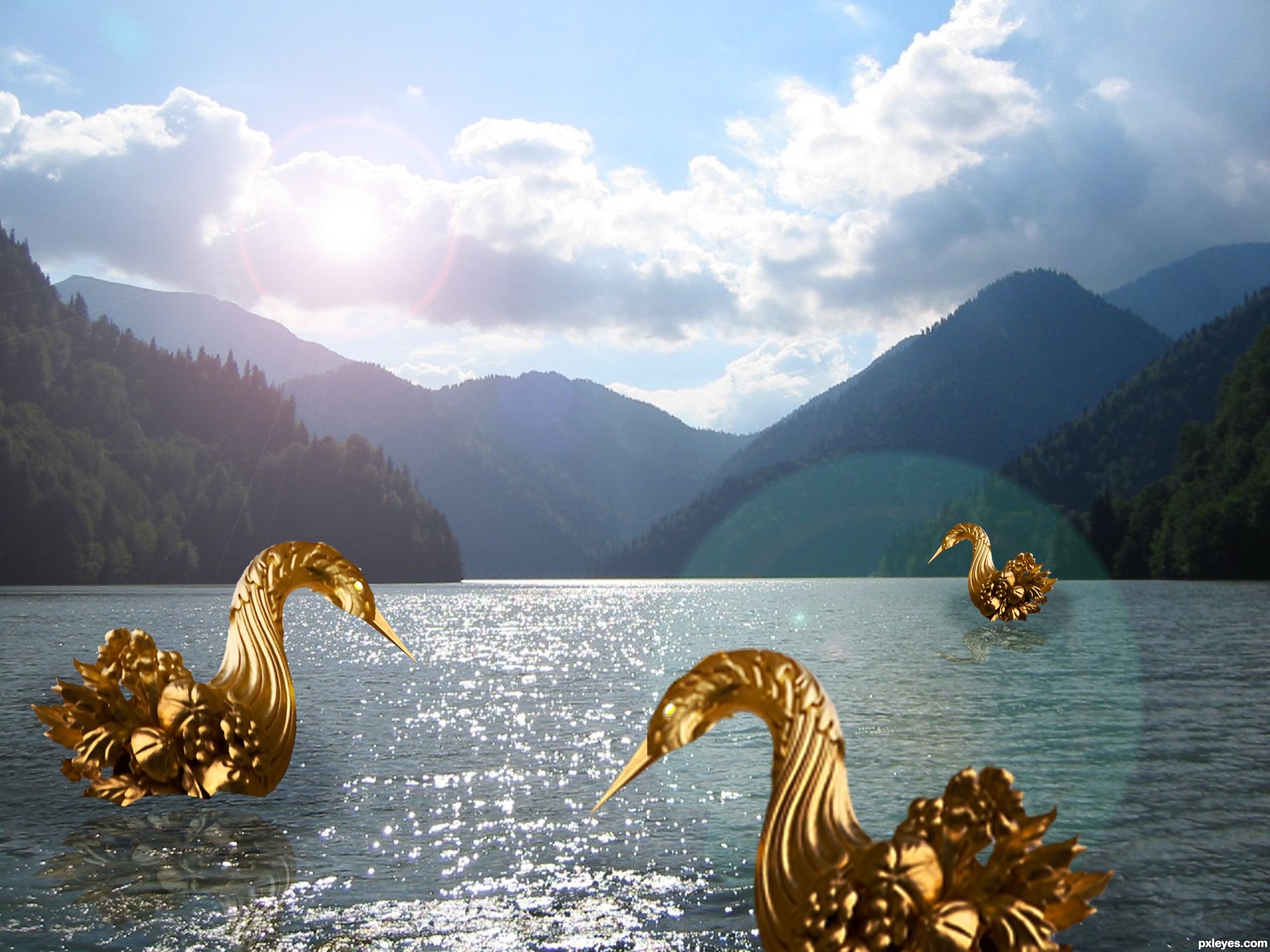 golden swan picture, by maozbd for: golden gate photoshop contest ...