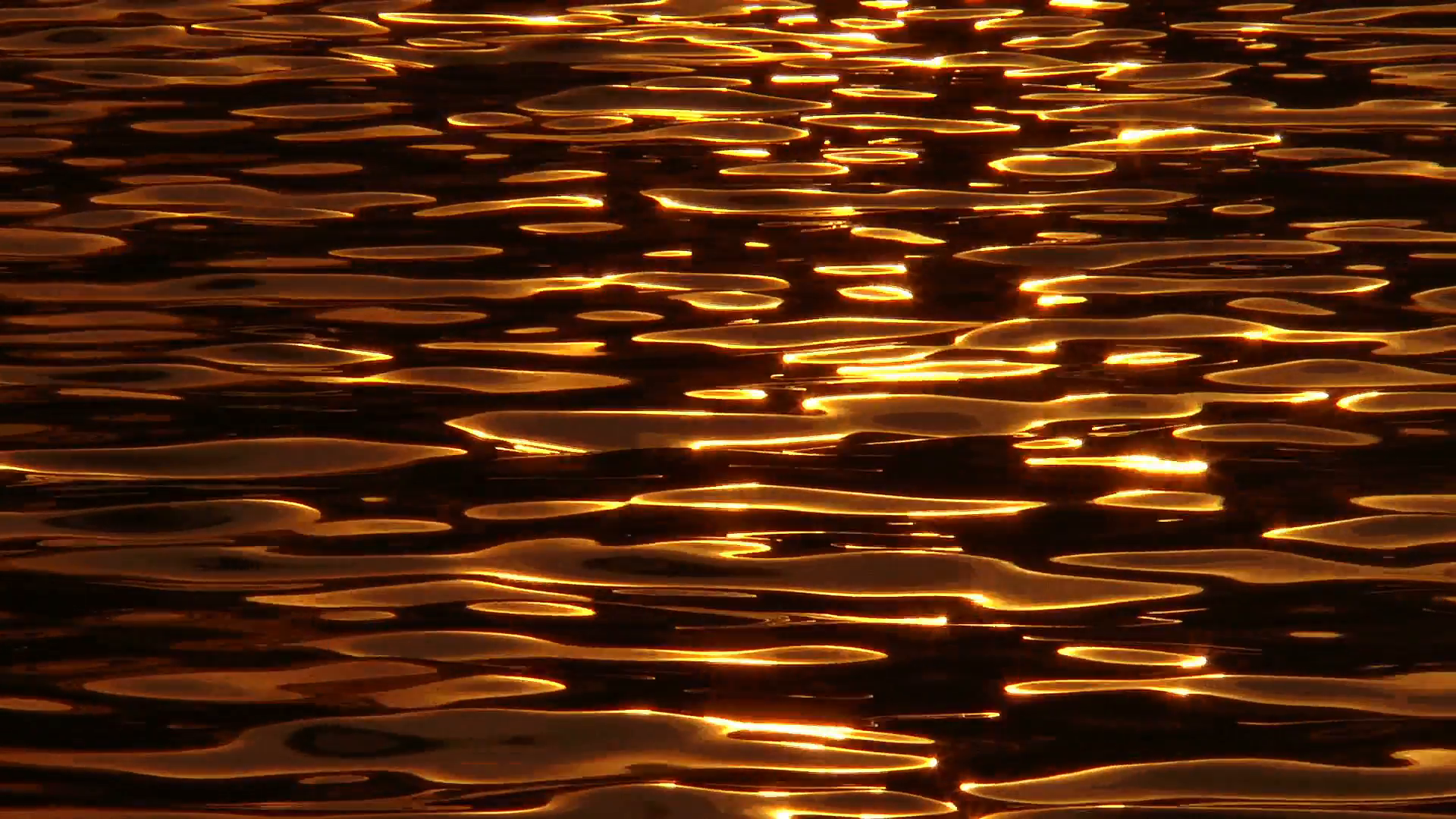golden water ripples - beautiful golden sunset reflection sparkles ...
