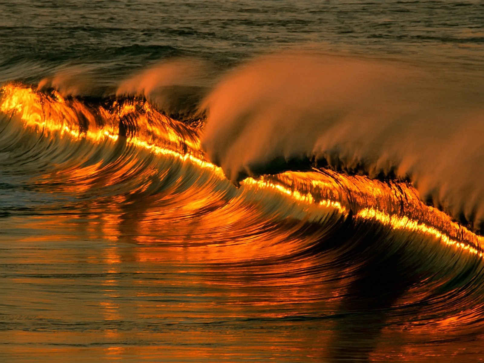 Golden Wave Wallpaper Other Nature Wallpapers in jpg format for free ...