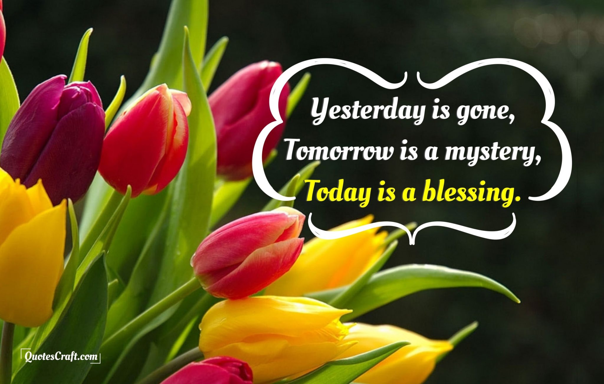 Today Is A Blessing Good Morning Messages - QuotesCraft