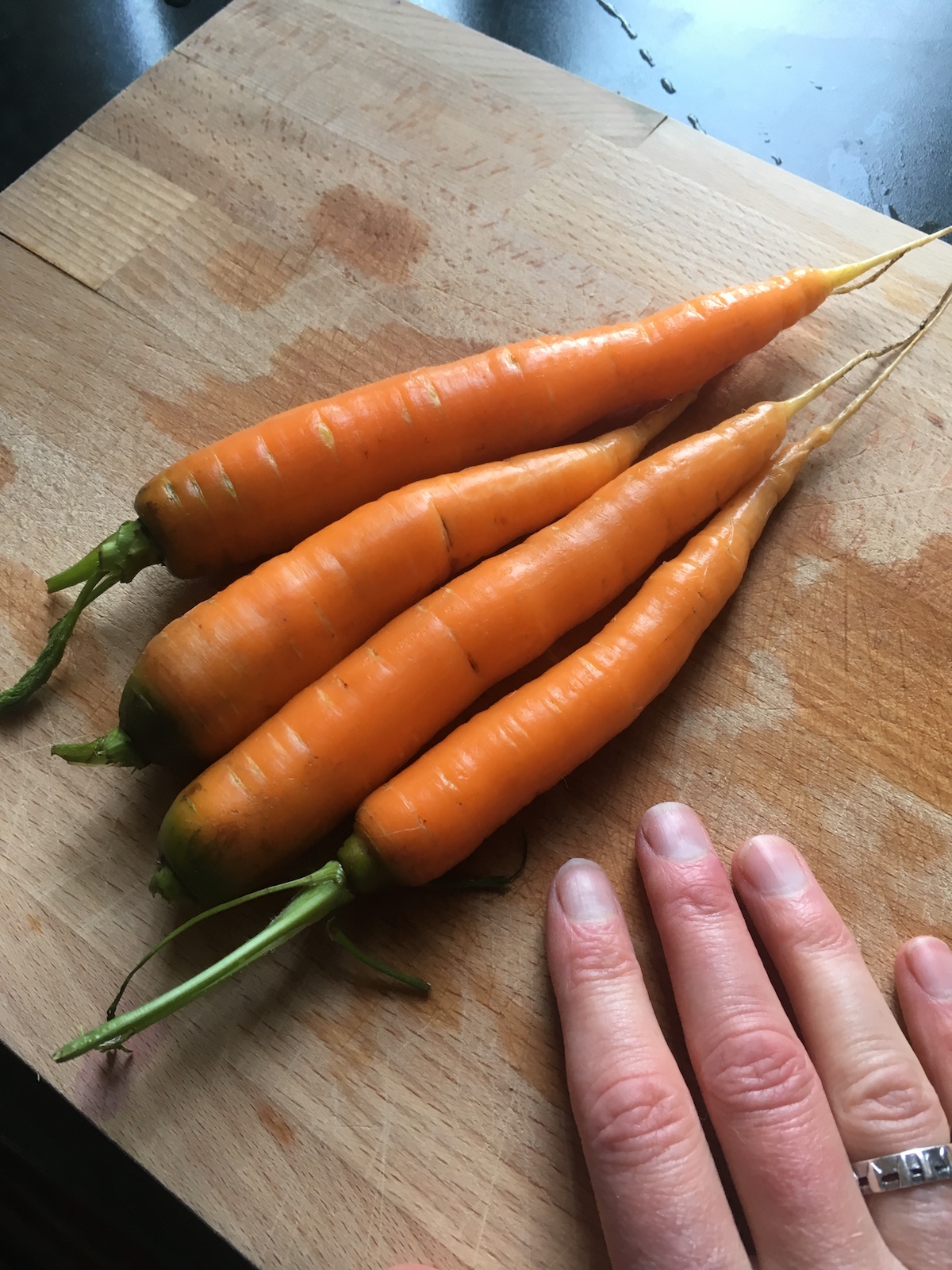 A harvest of four carrots – Rachel