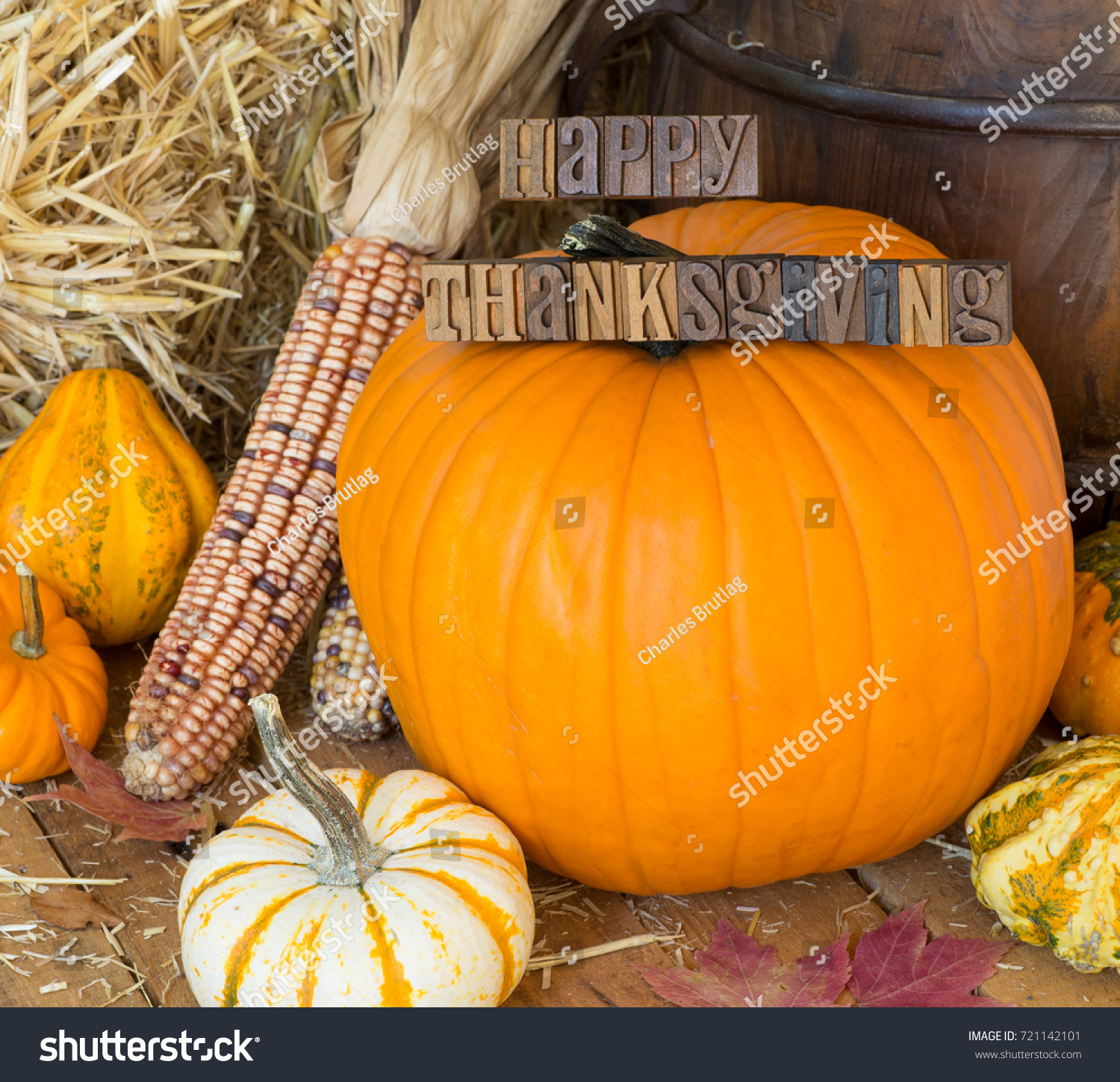 Colorful Pumpkins Gourds Corn On Wooden Stock Photo (Royalty Free ...