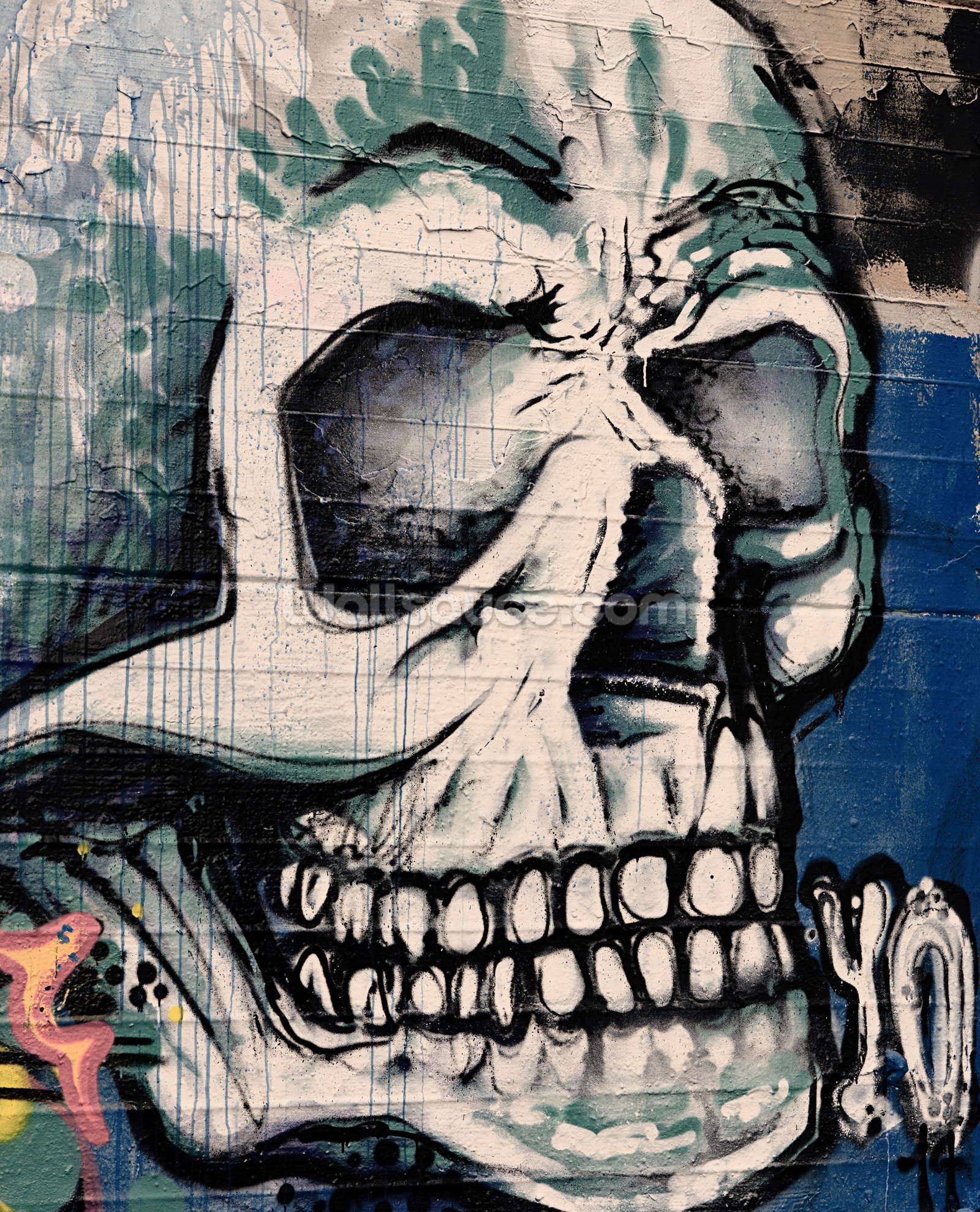 Graffiti Art Wallpaper Graffiti - Skull Face Wallpaper Wall Mural ...