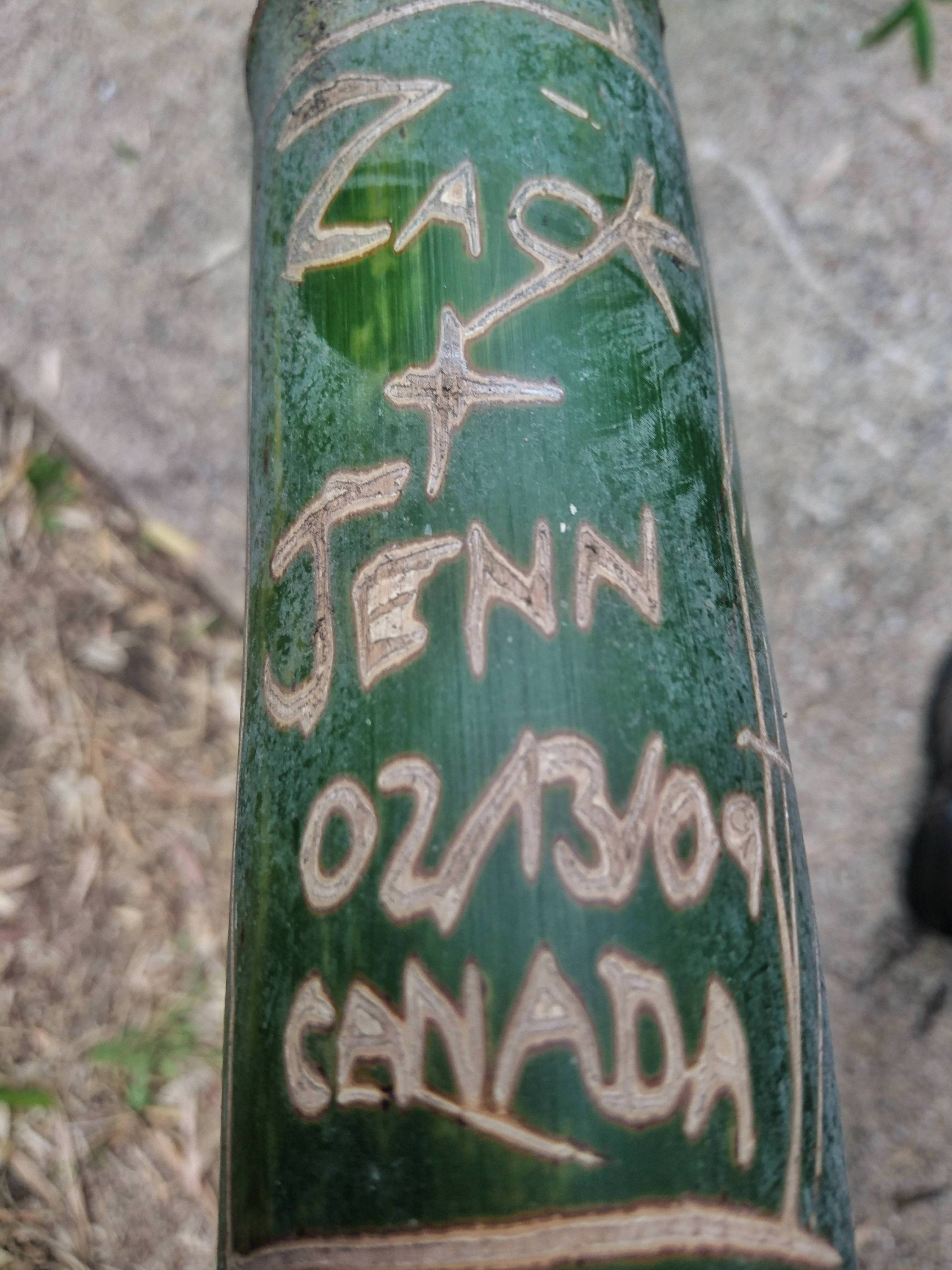Can you please ask Zack and Jenn to not graffiti bamboo in the ...