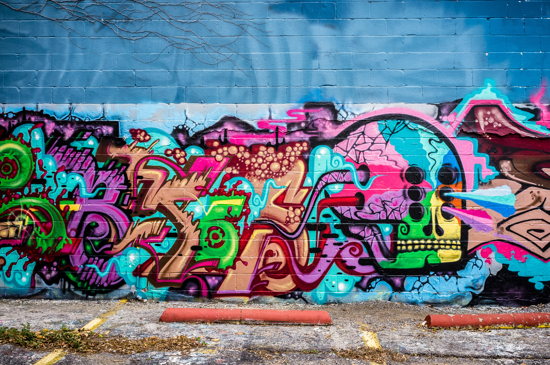 Graffiti Skull | Dallas-Fort Worth | 75CentralPhotography