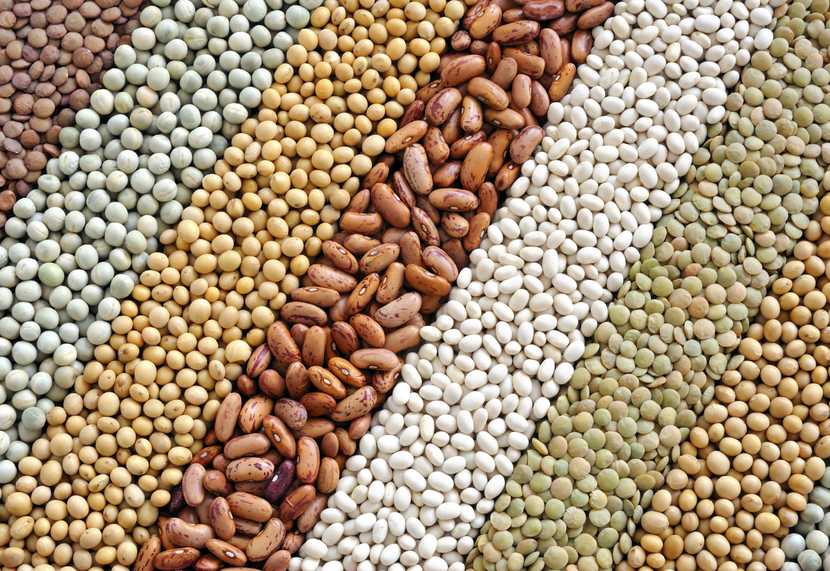 Food prices hit two-year high, amid 'mixed' grain crop outlook ...