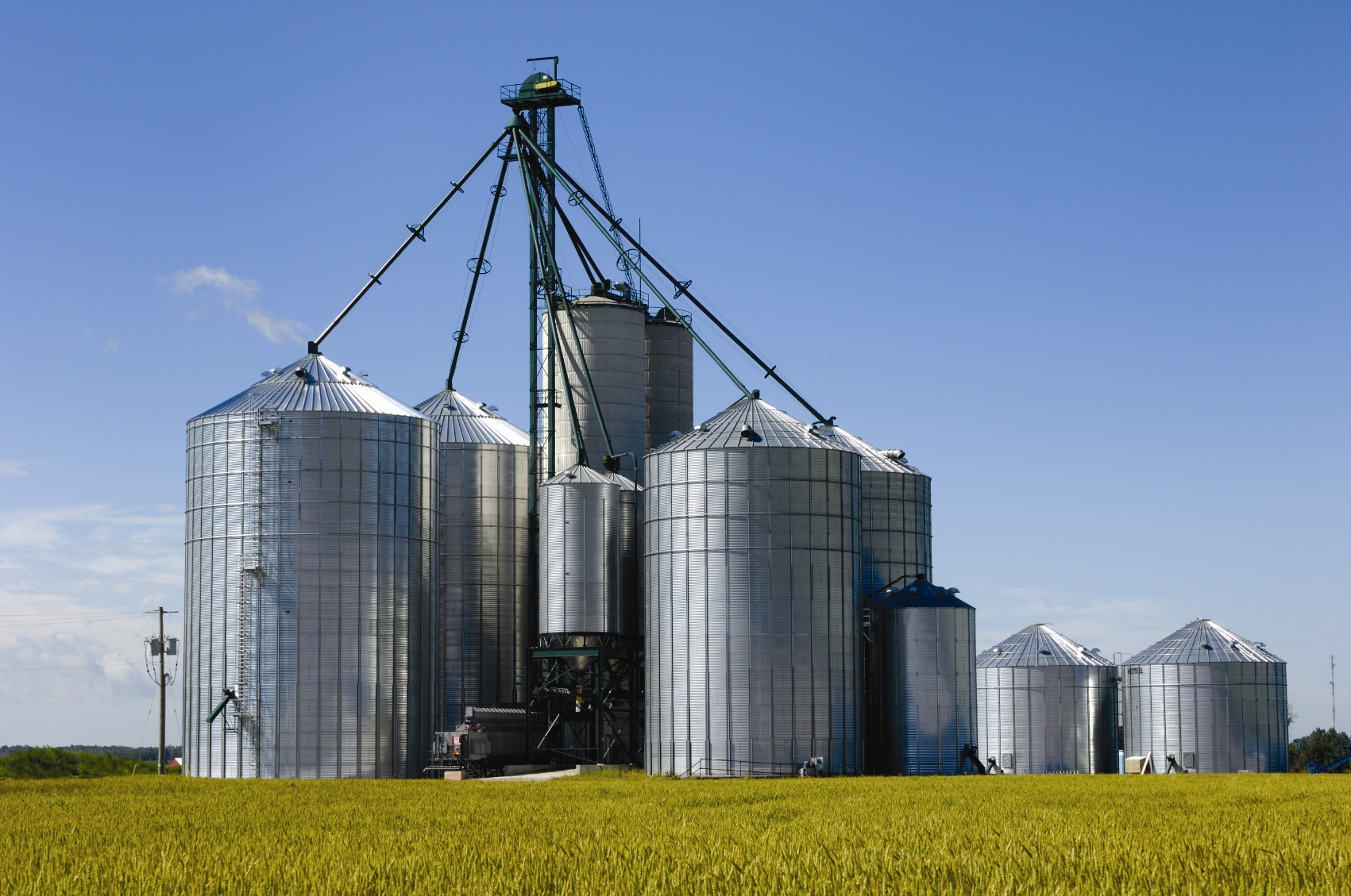 Grain Bin Safety Tips - Grains of Knowledge