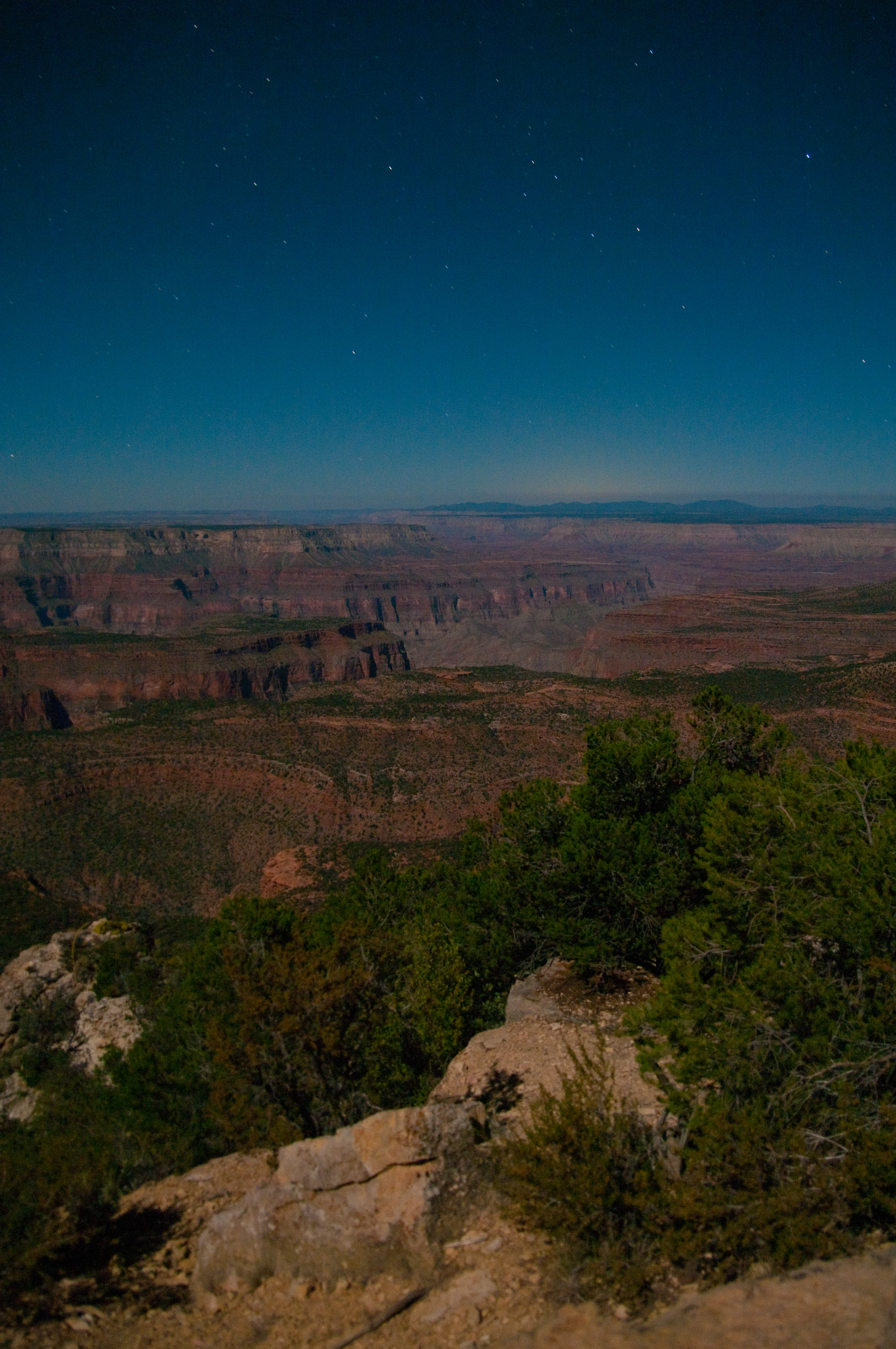 Grand canyon north rim photo