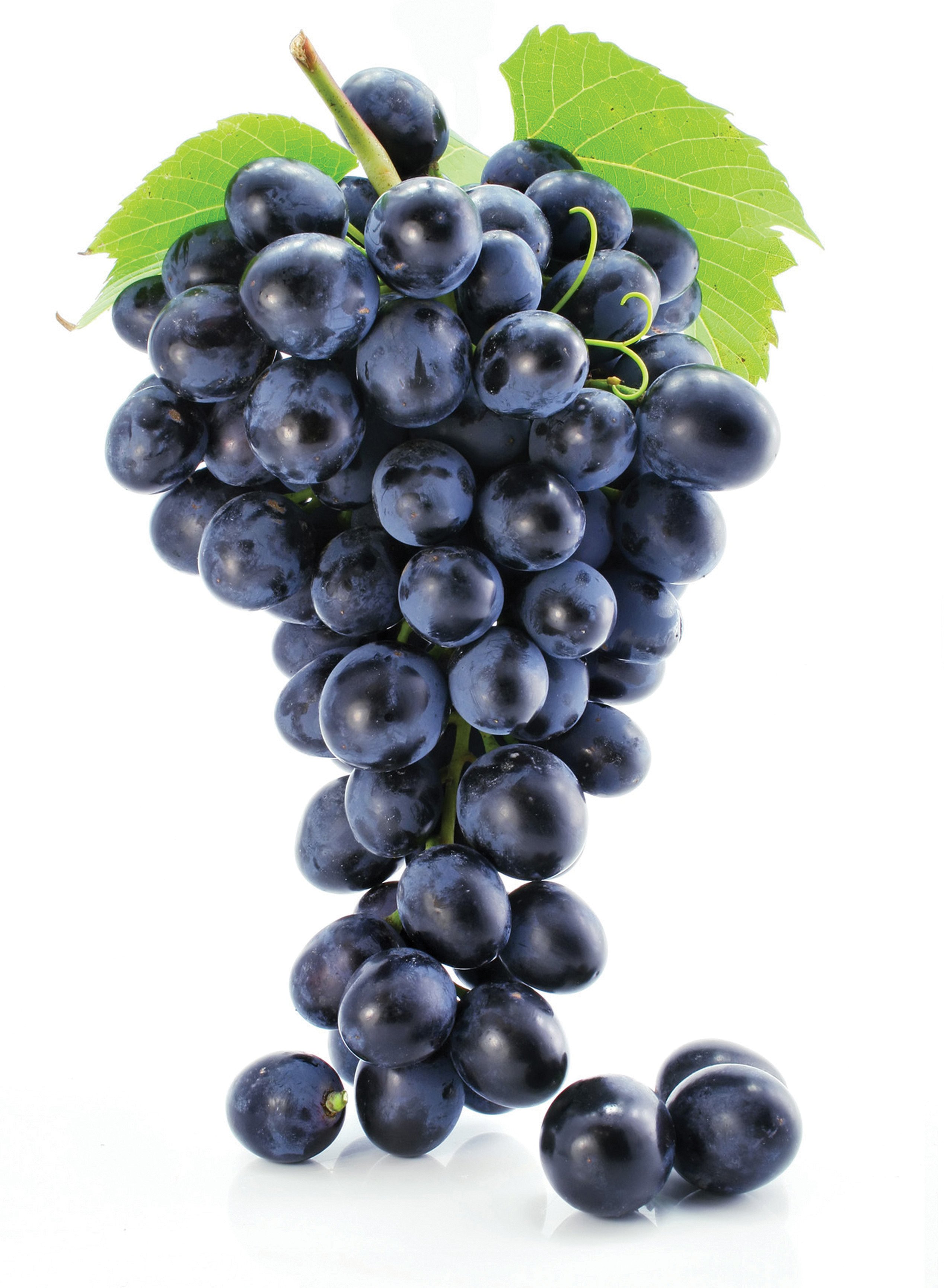 Grape Soda – LuxorHookah