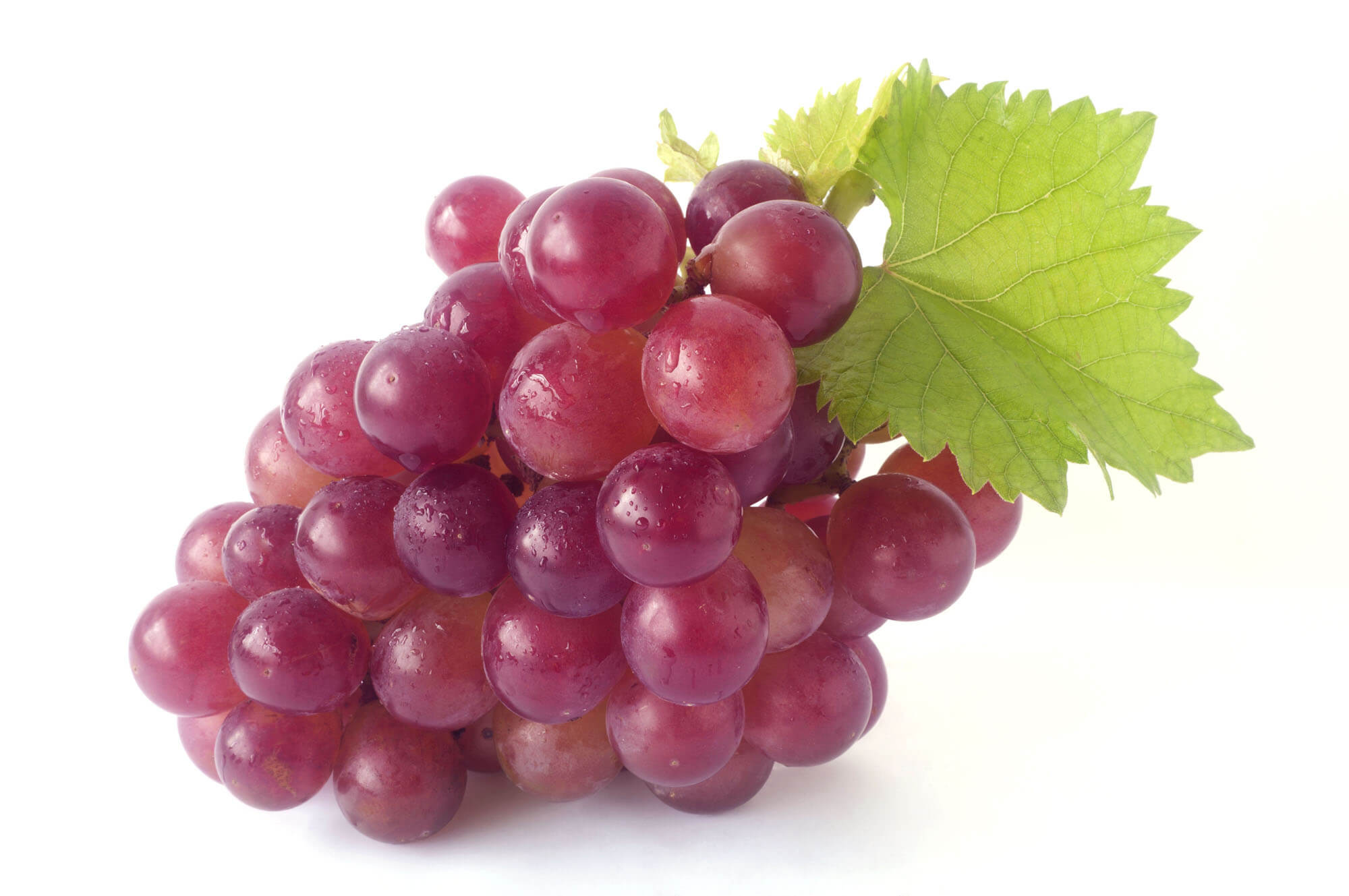 Protect Your Body by Eating Grapes Everyday - Step To Health