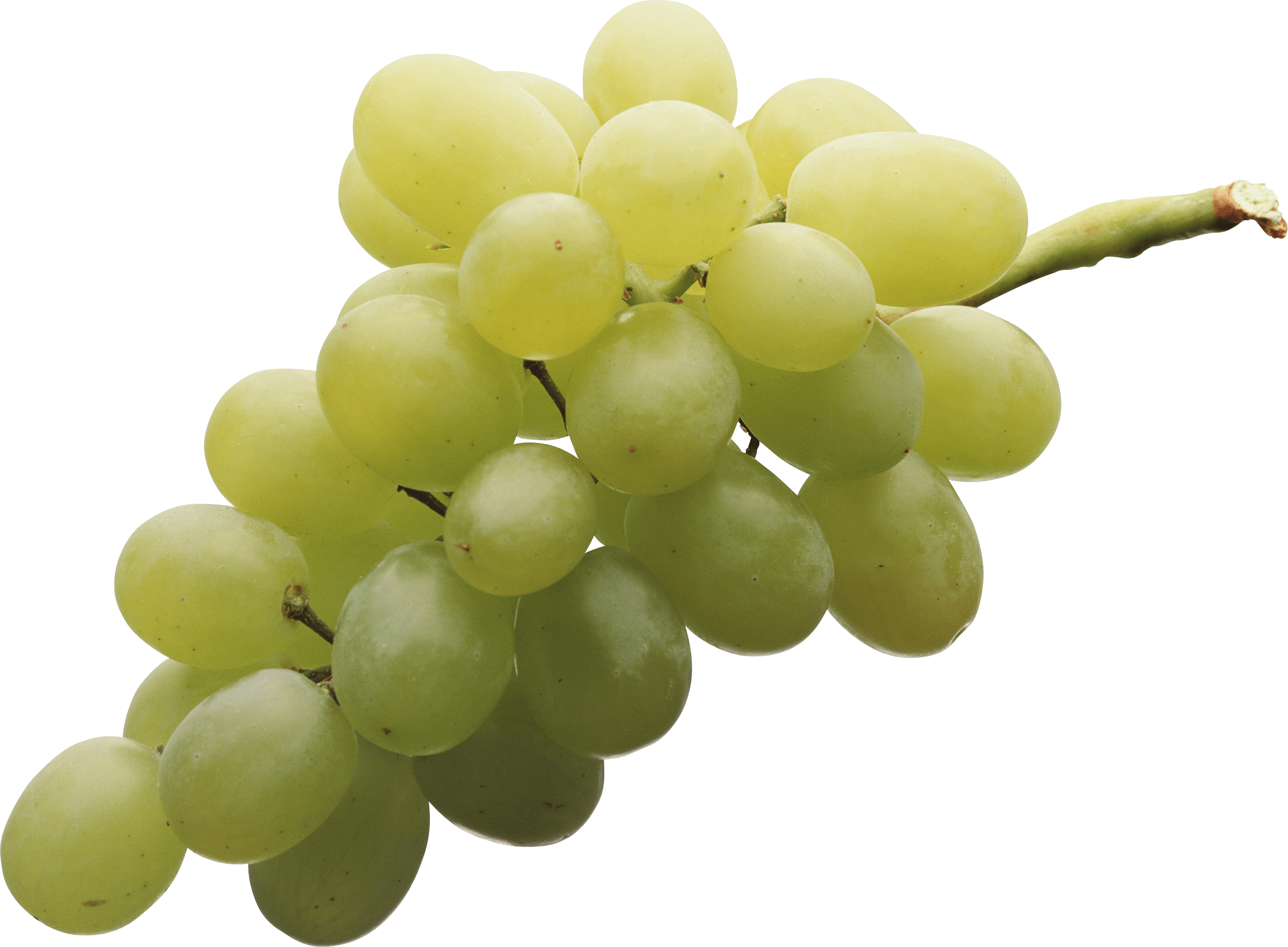 Isolated White Grape transparent PNG - StickPNG