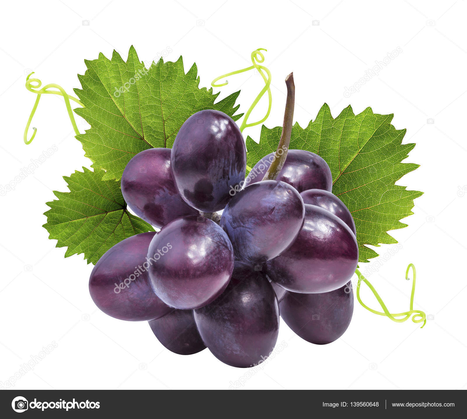 grapes isolated on the white — Stock Photo © ilietus1000.gmail.com ...